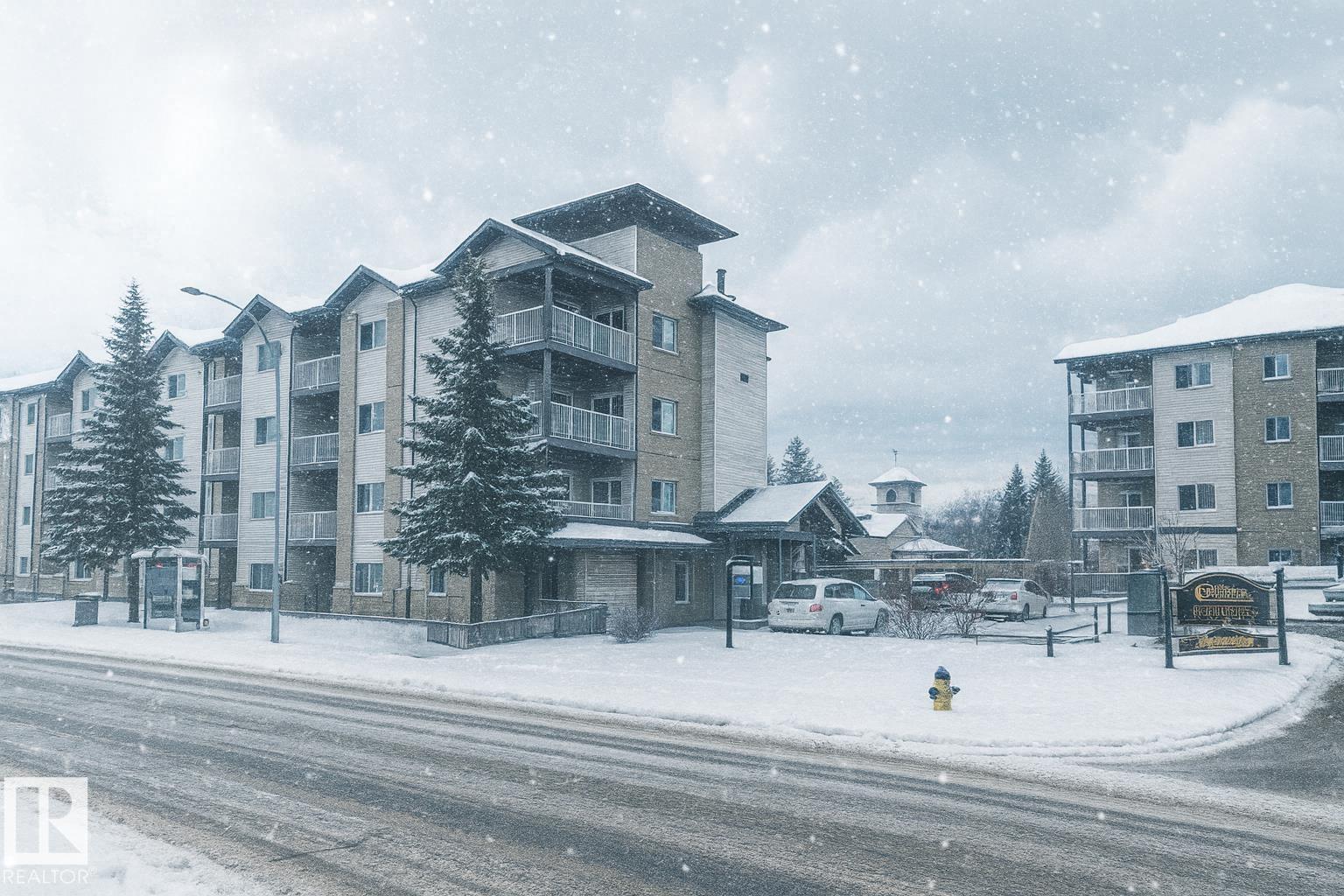 206 - 16715 100 Avenue NW, Glenwood, Edmonton 2