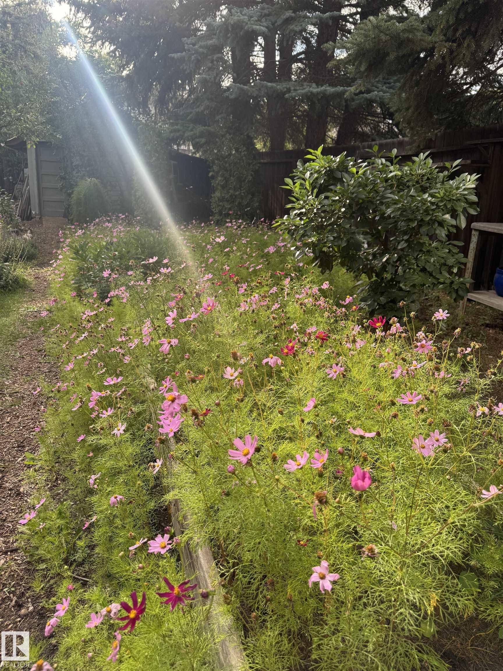 Photo 58 at 7024 105a Street NW, Queen Alexandra, Edmonton