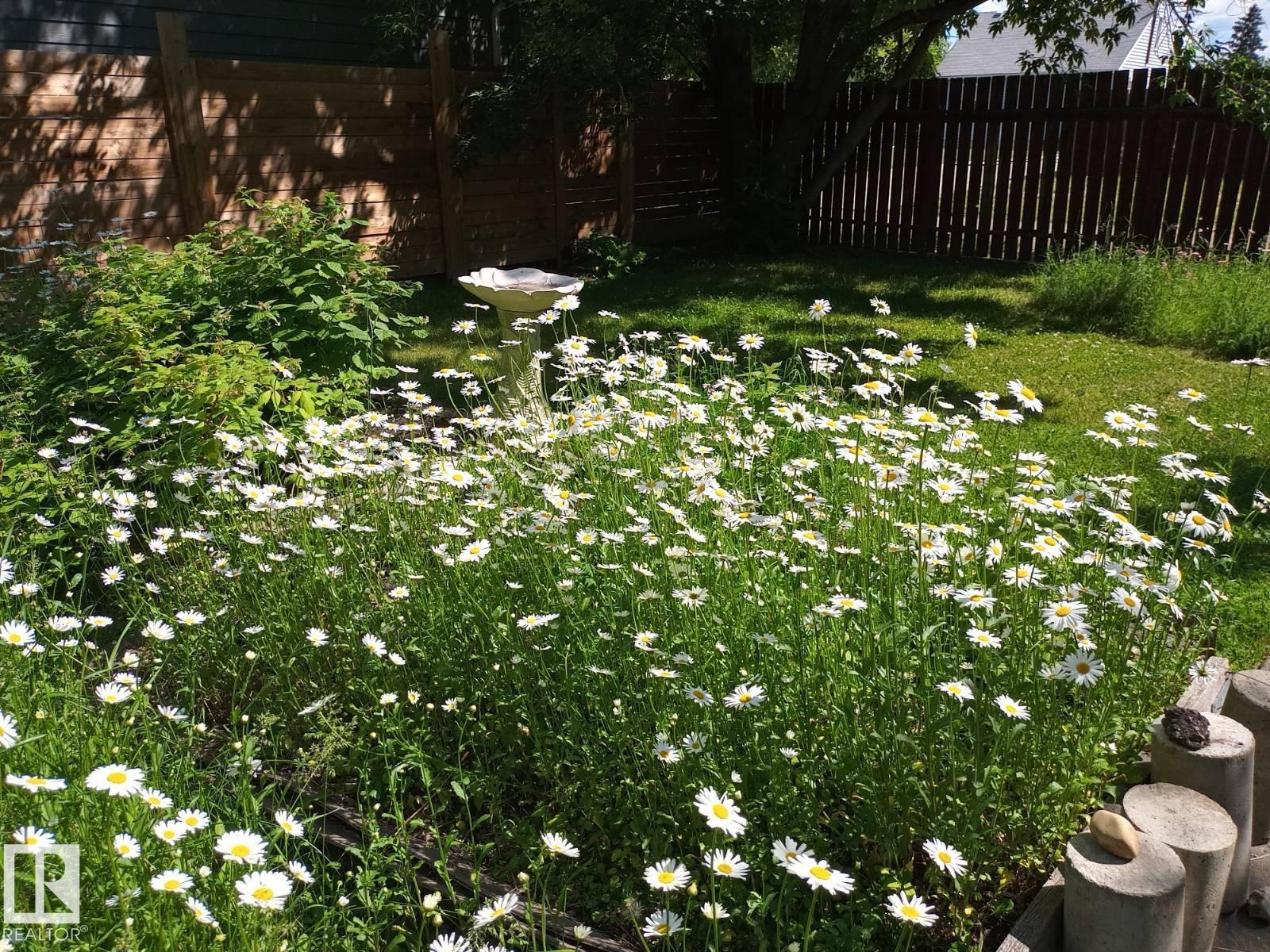 Picture for 10915 150 ST NW