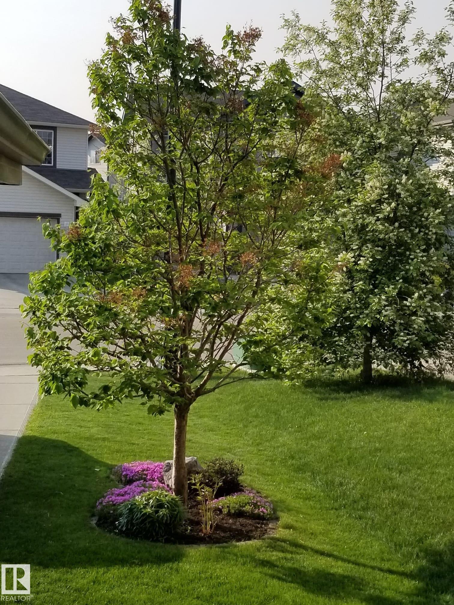 Photo 65 at 1310 114b Street SW, Rutherford, Edmonton