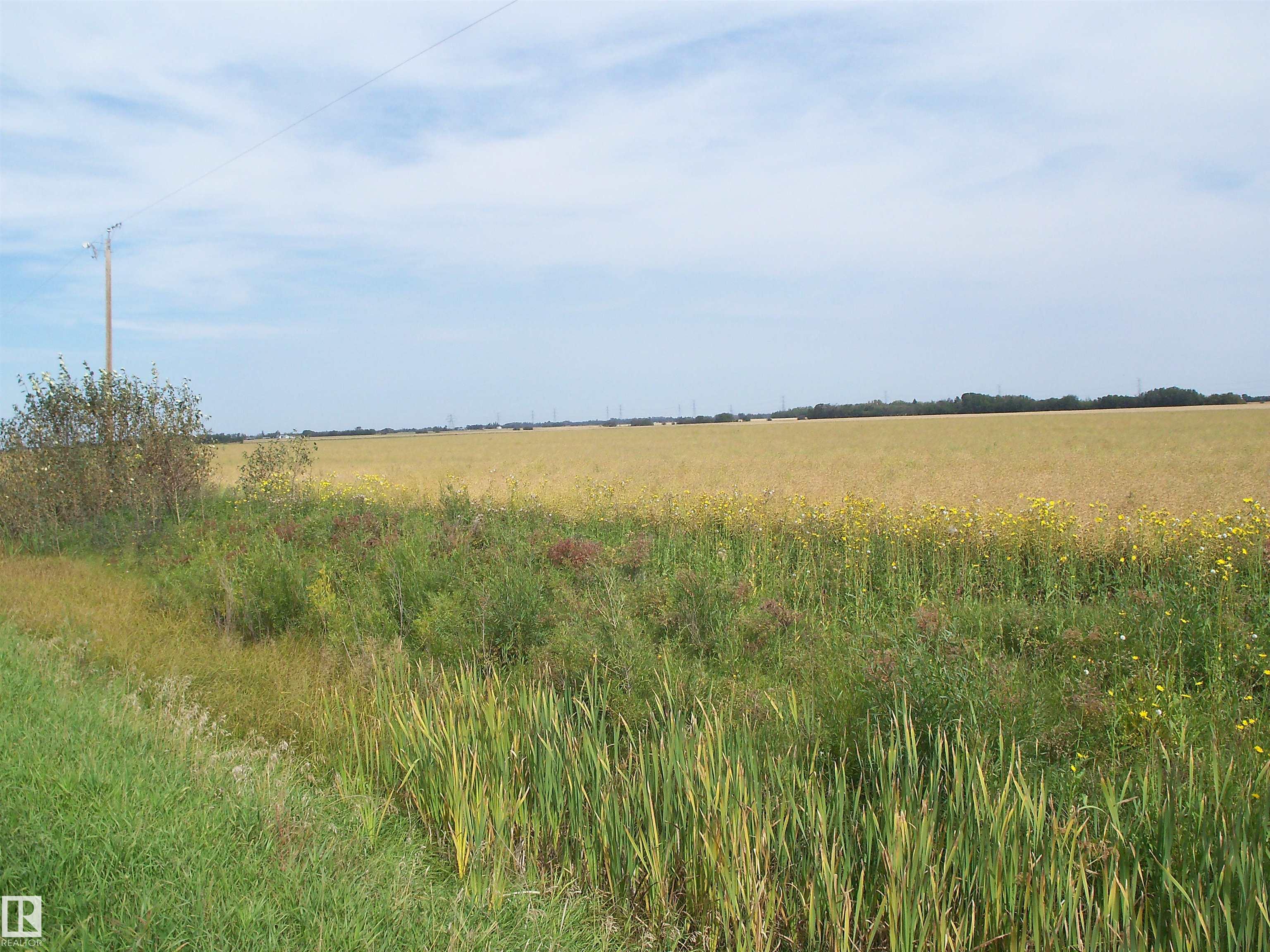 TWP 551 Rr234, None, Rural Sturgeon County