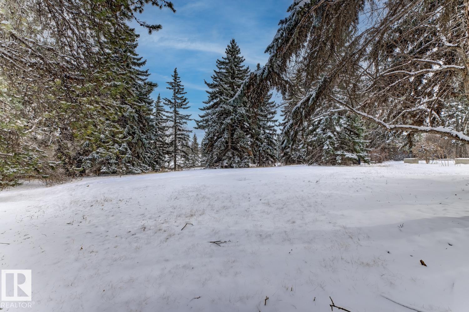 Photo 44 at 6619 123 Street NW, Grandview Heights, Edmonton