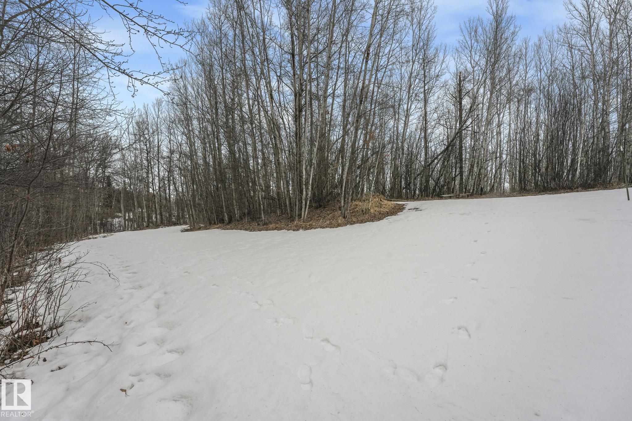 Photo 62 at 24 - 2022 Parkland Drive, Marrakesh Properties, Rural Parkland County