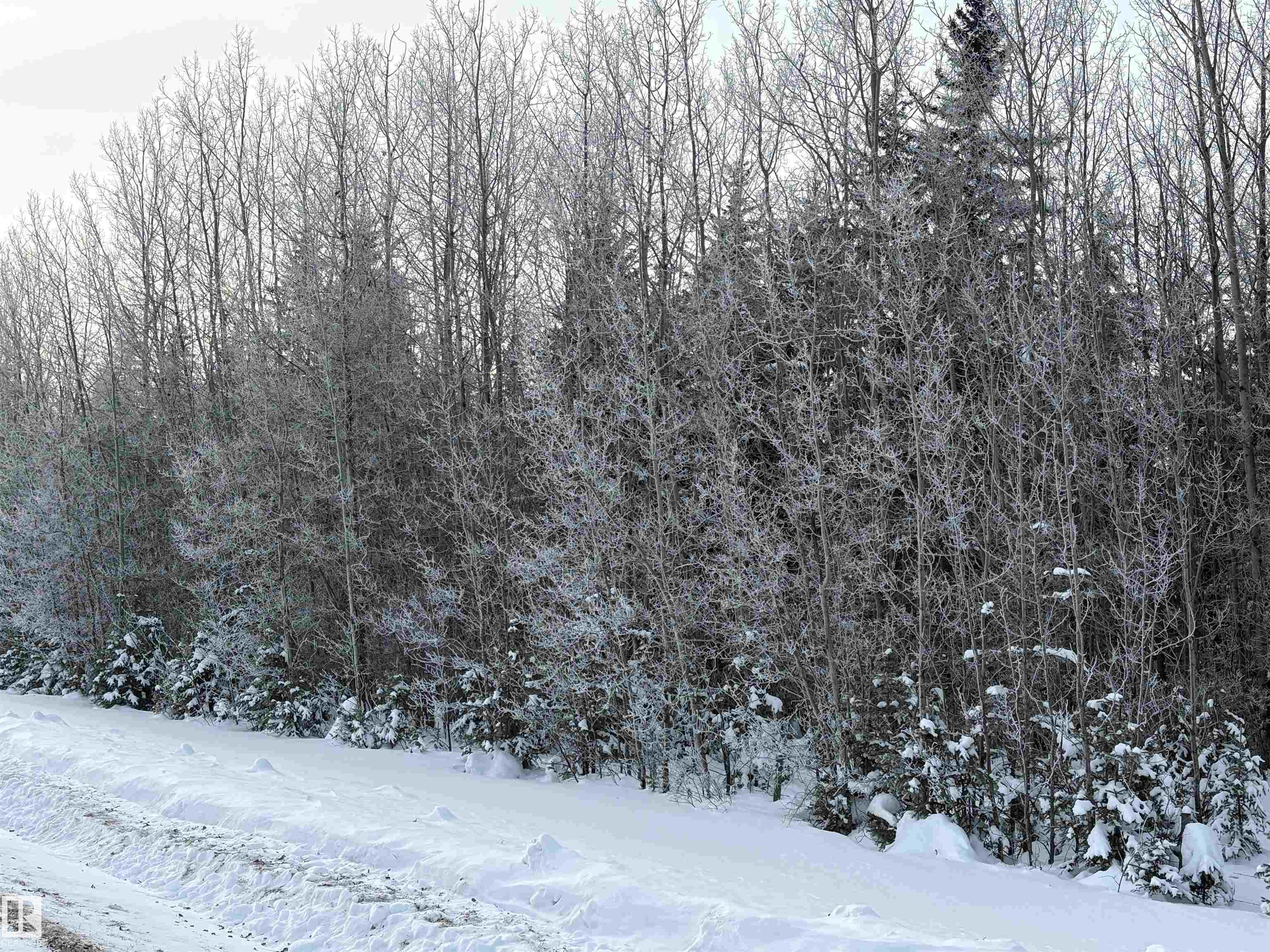 Range Road 195 & TWP RD 642 3