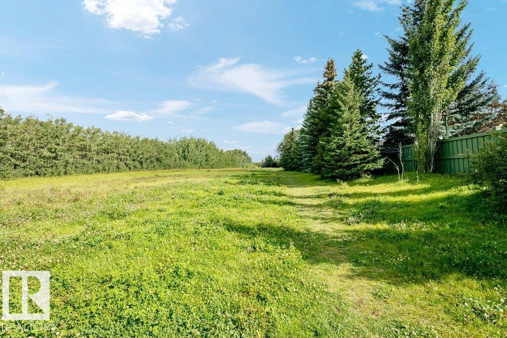 Photo 68 at 781 Wells Wynd NW, Wedgewood Heights, Edmonton