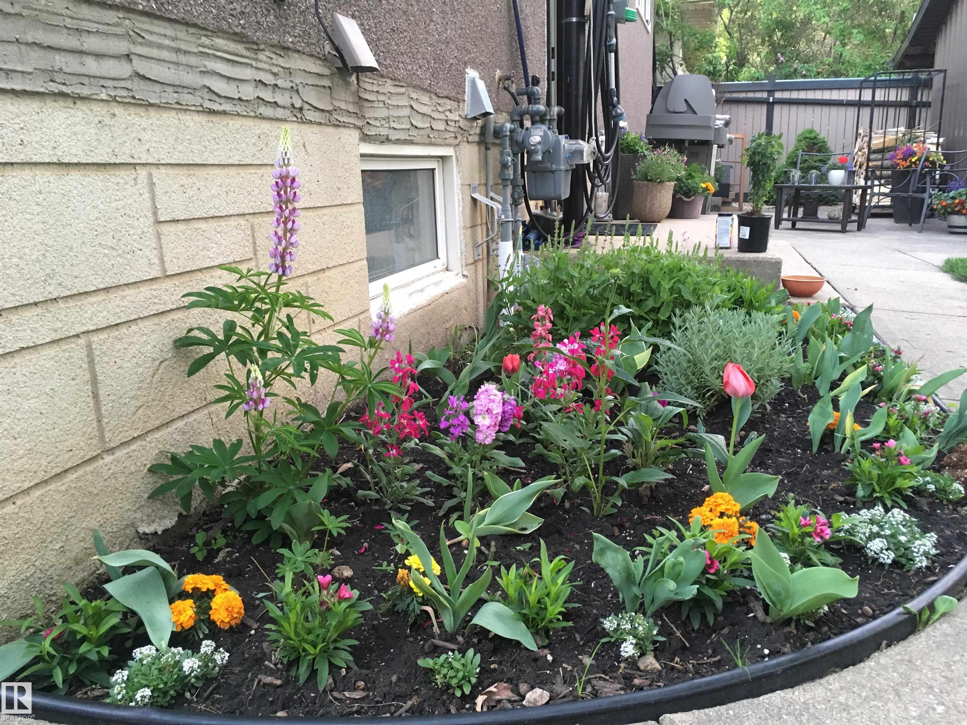 Photo 45 at 6052 105b Street NW, Pleasantview, Edmonton