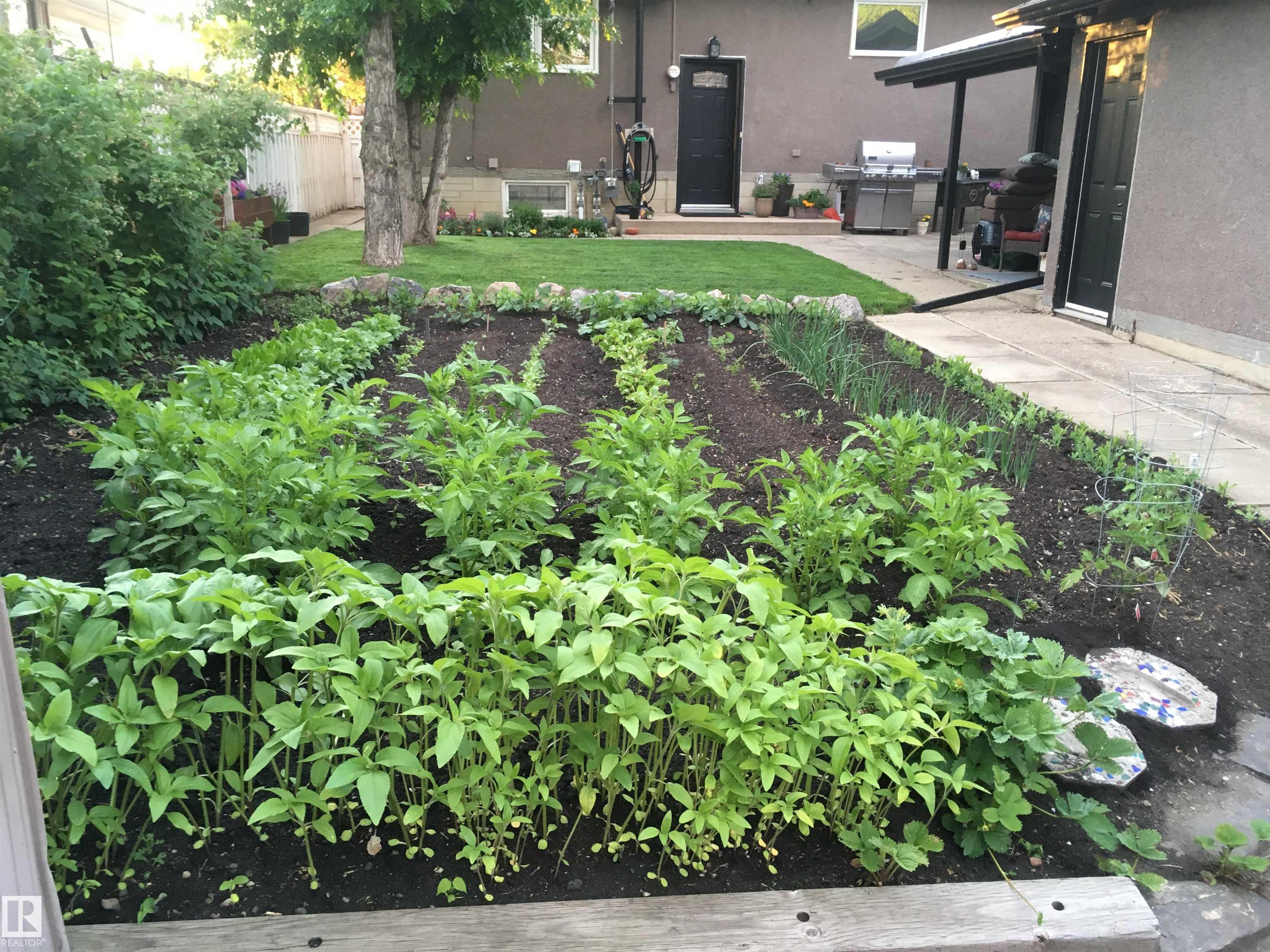 Photo 47 at 6052 105b Street NW, Pleasantview, Edmonton