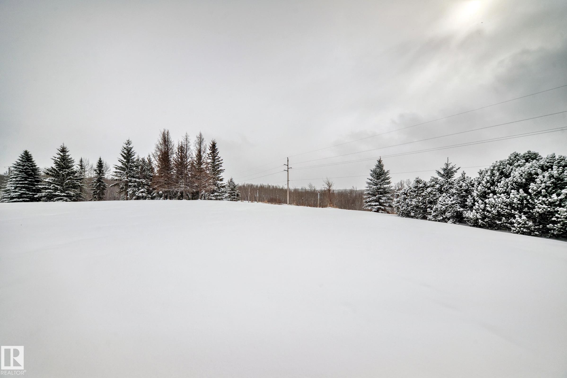 Photo 54 at 3 - 53333 Rge Road 20, Chateau Heights, Rural Parkland County