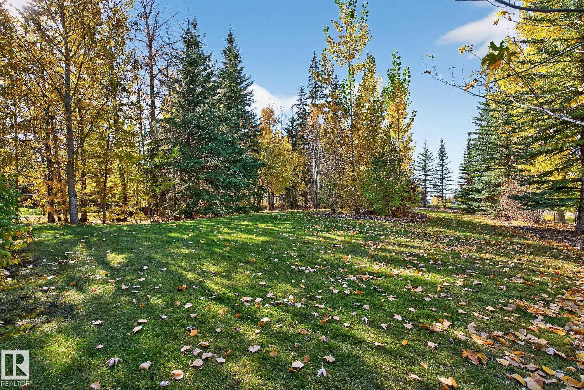 Photo 19 at 54 53305 Rge Road 273, Atim Creek Springs, Rural Parkland County