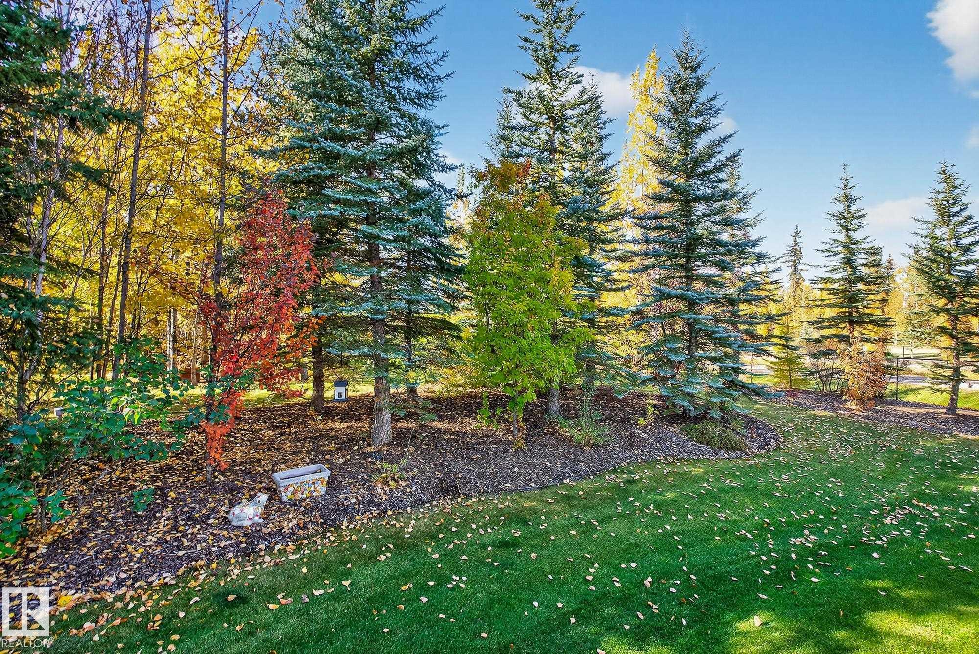 Photo 23 at 54 53305 Rge Road 273, Atim Creek Springs, Rural Parkland County