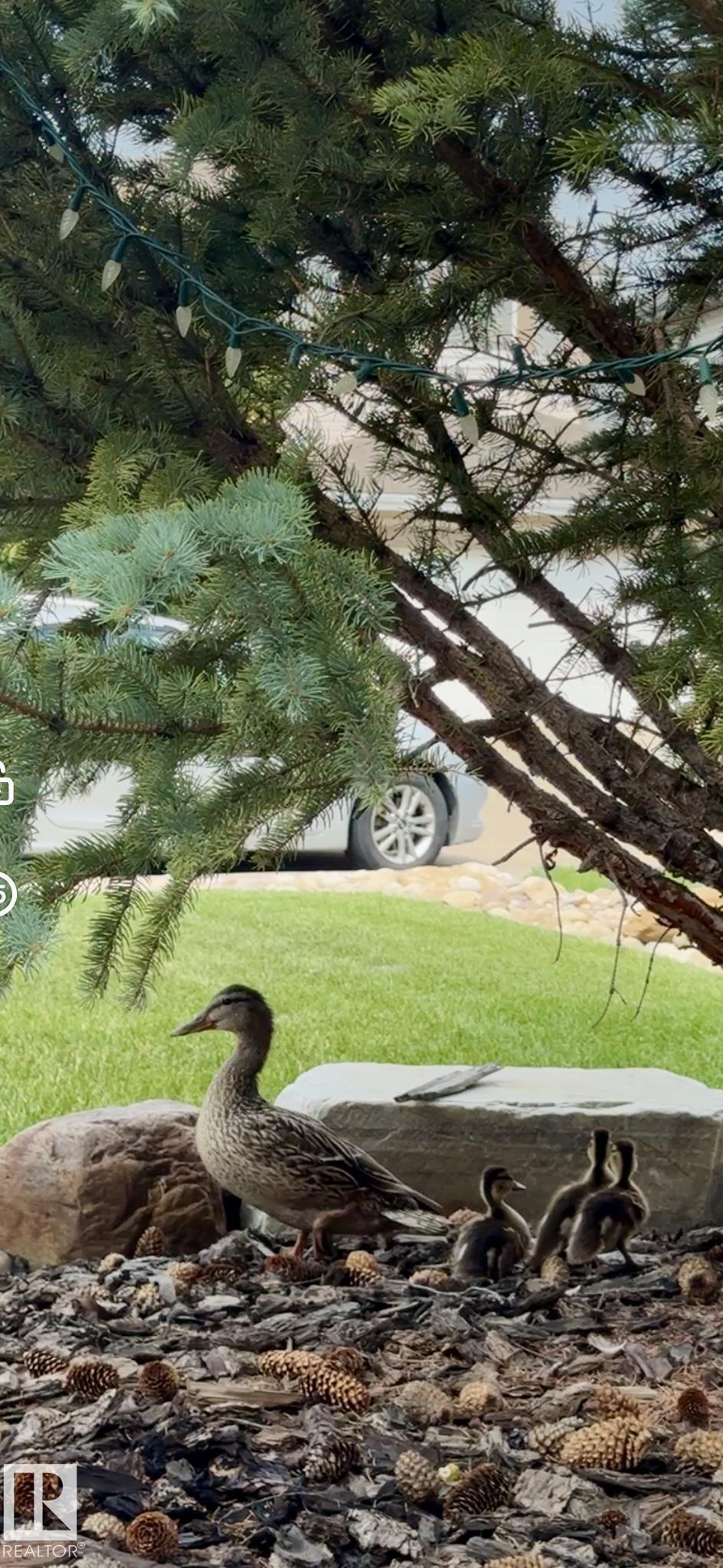 Photo 62 at 1007 Goodwin crest NW, Glastonbury, Edmonton