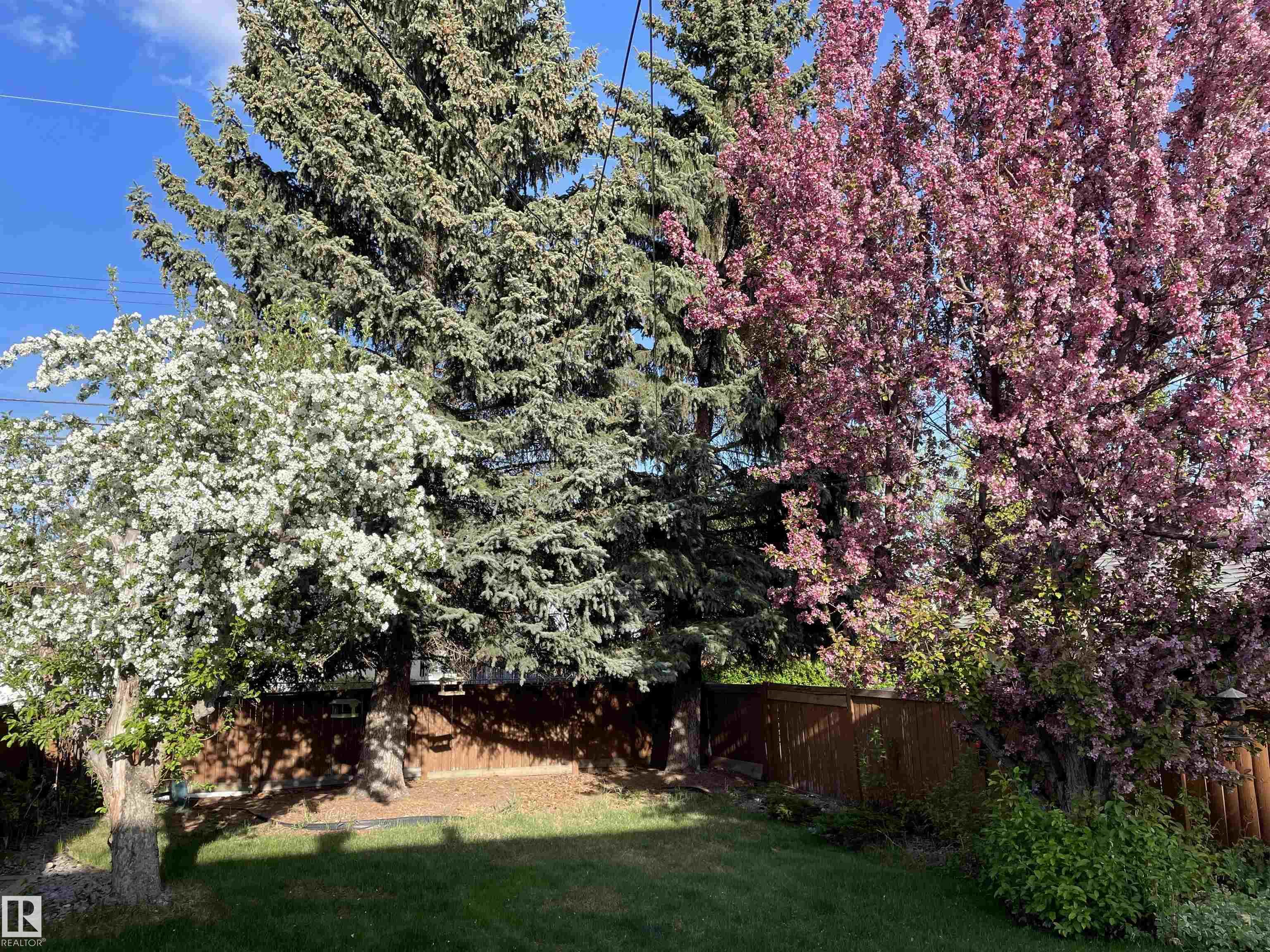 Photo 45 at 10927 146 Street NW, McQueen, Edmonton