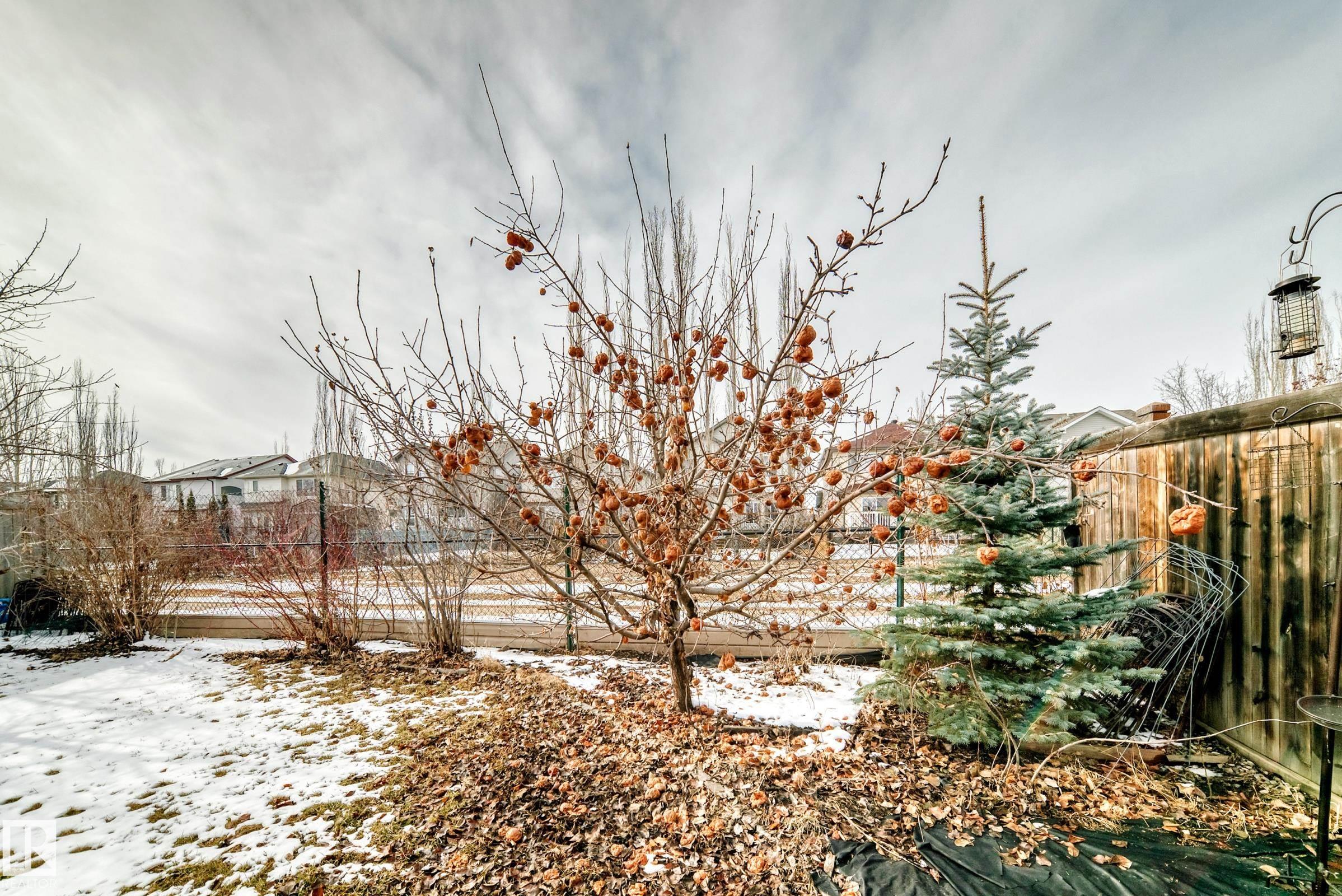 Photo 30 at 1330 114b Street SW, Rutherford, Edmonton