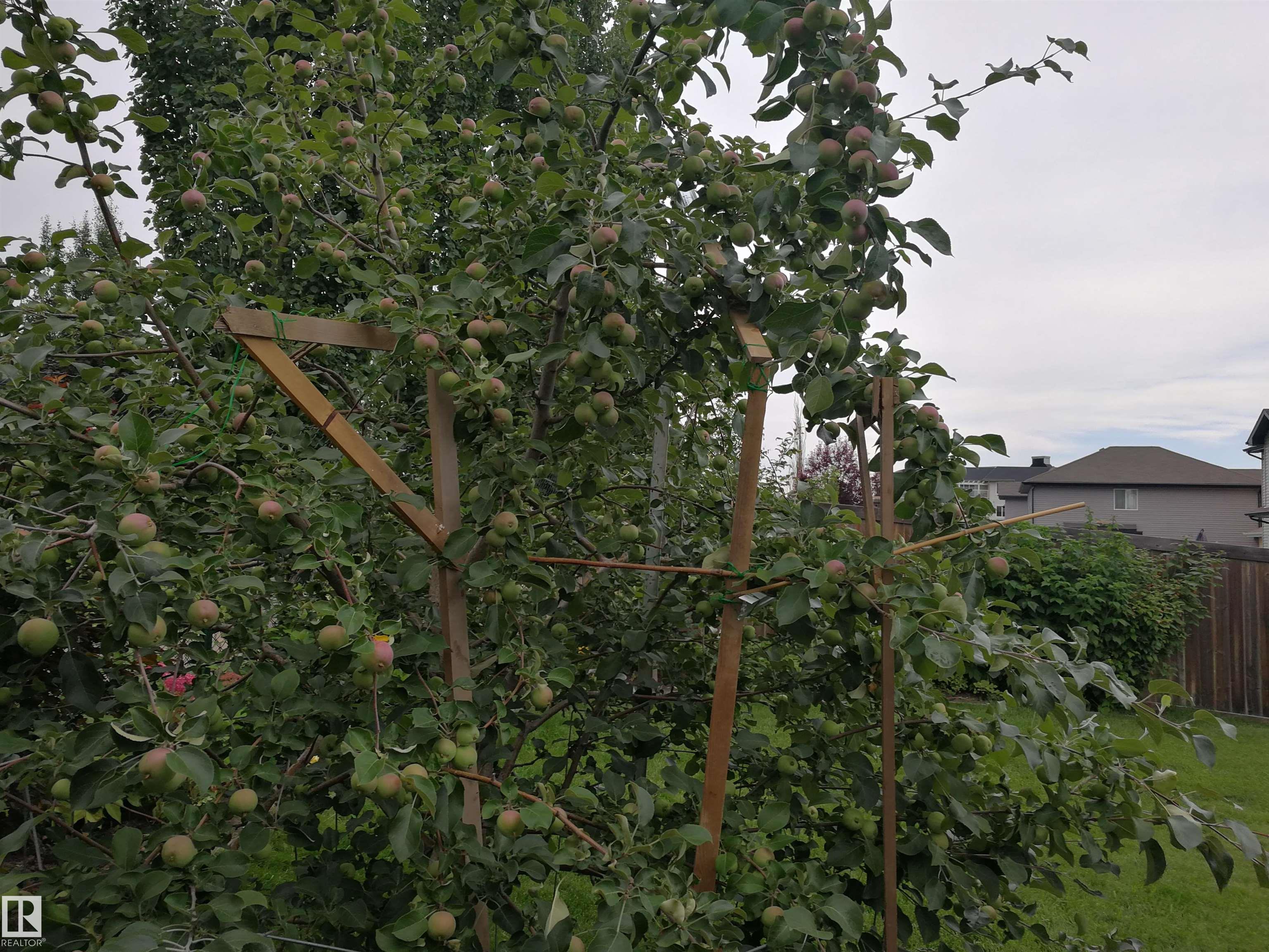 Photo 31 at 1330 114b Street SW, Rutherford, Edmonton