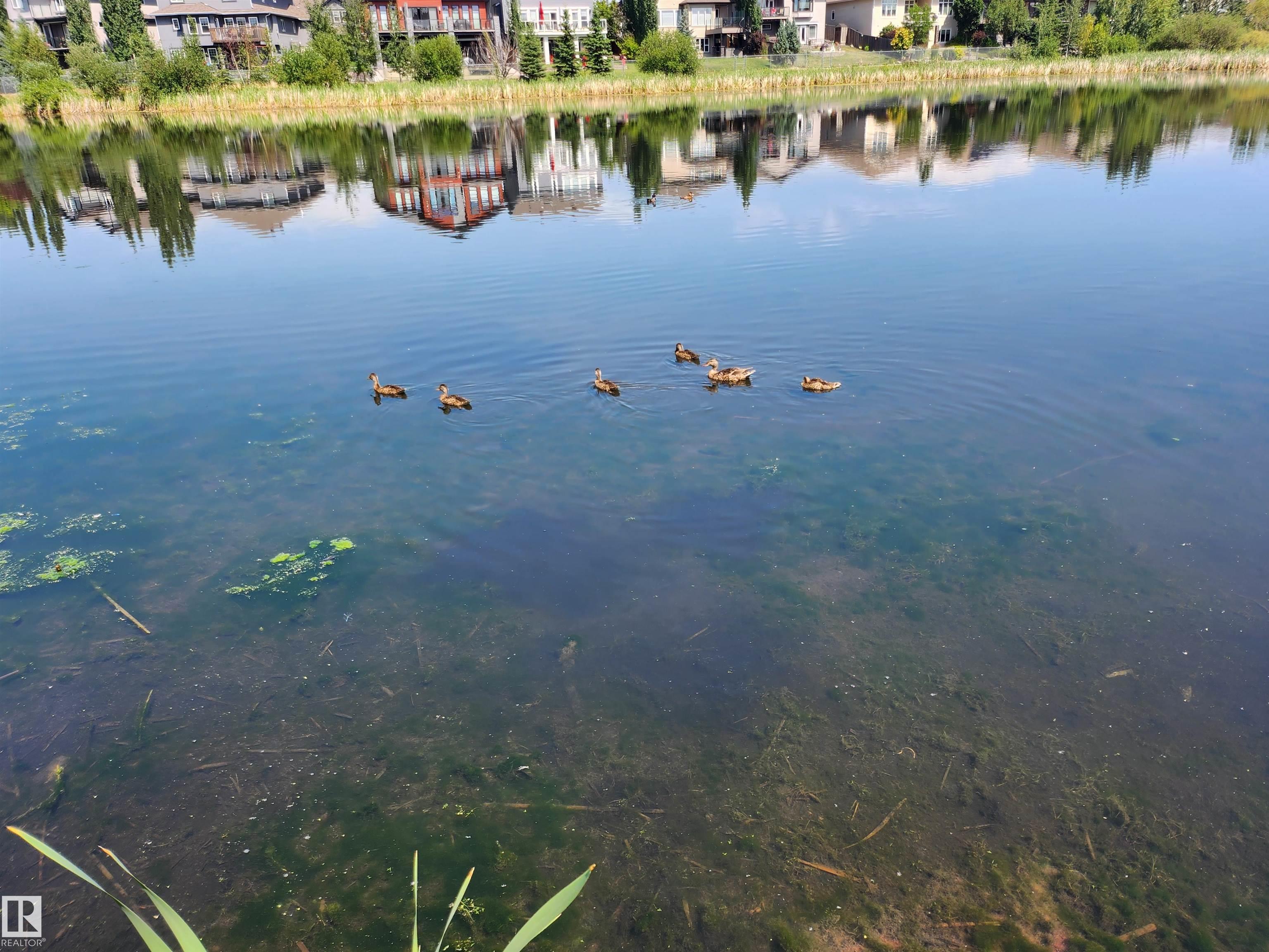 466 Churchill Crescent, Lakeland Ridge, Sherwood Park