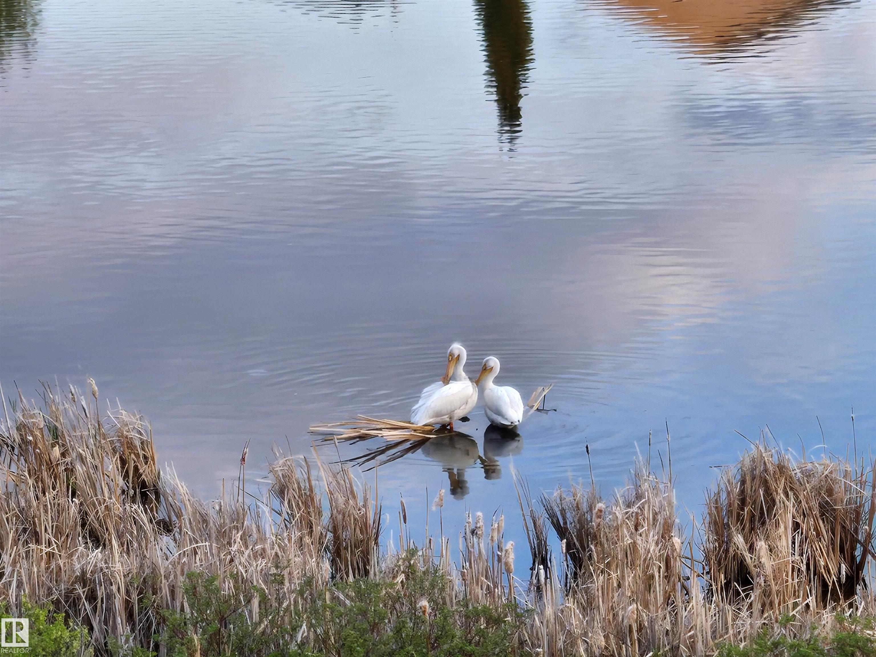 466 Churchill Crescent, Lakeland Ridge, Sherwood Park