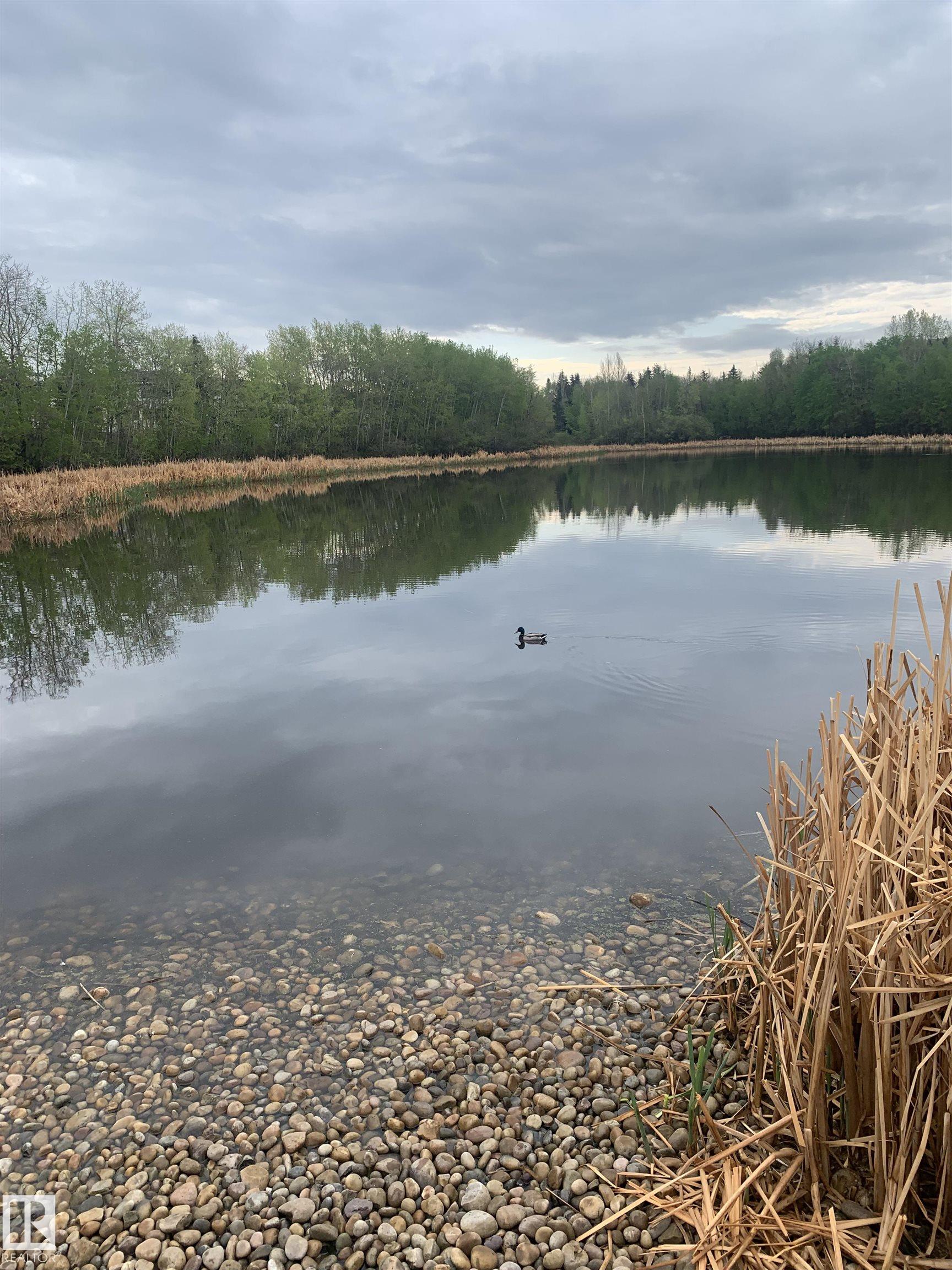 Photo 40 at 115 - 81 Garden Road, Grandin, St. Albert