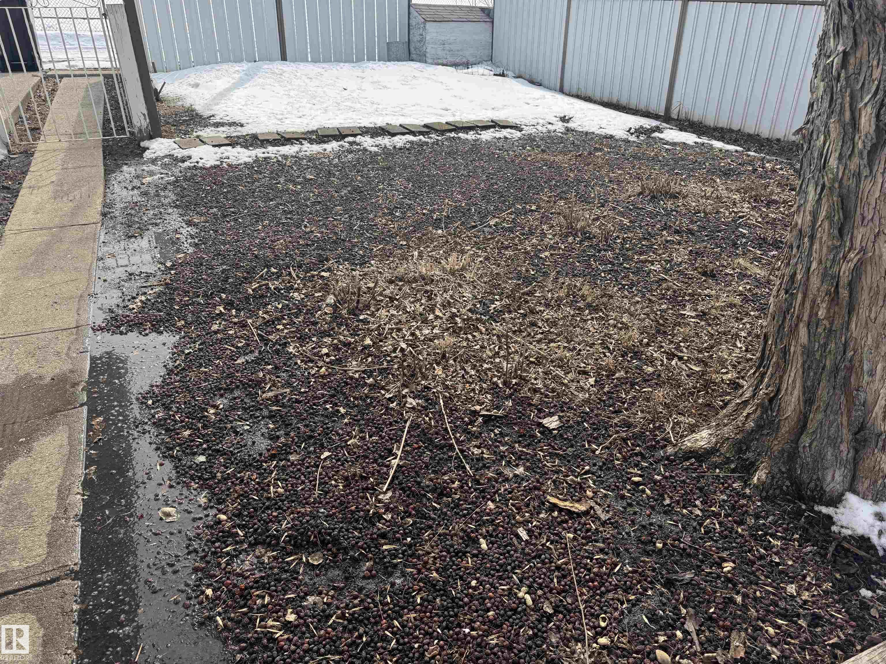 Photo 53 at 4021 117 Avenue NW, Beverly Heights, Edmonton