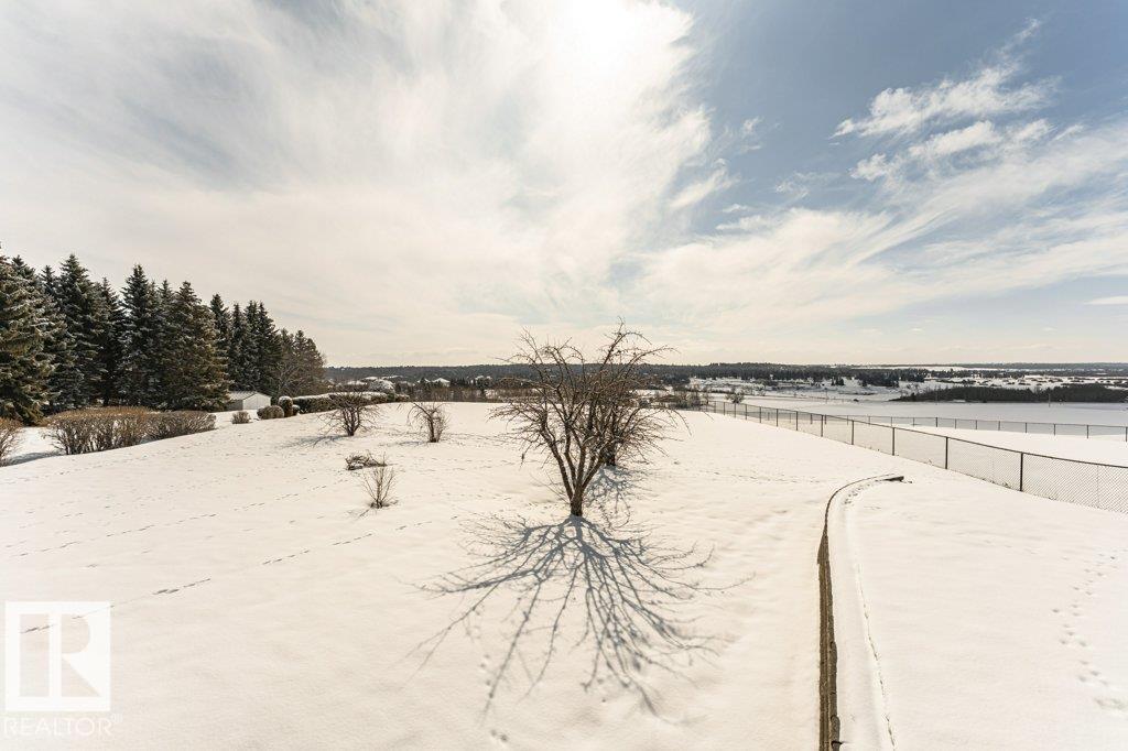 Photo 65 at 25-54418 Range Road 251, Upper Manor Estate, Rural Sturgeon County