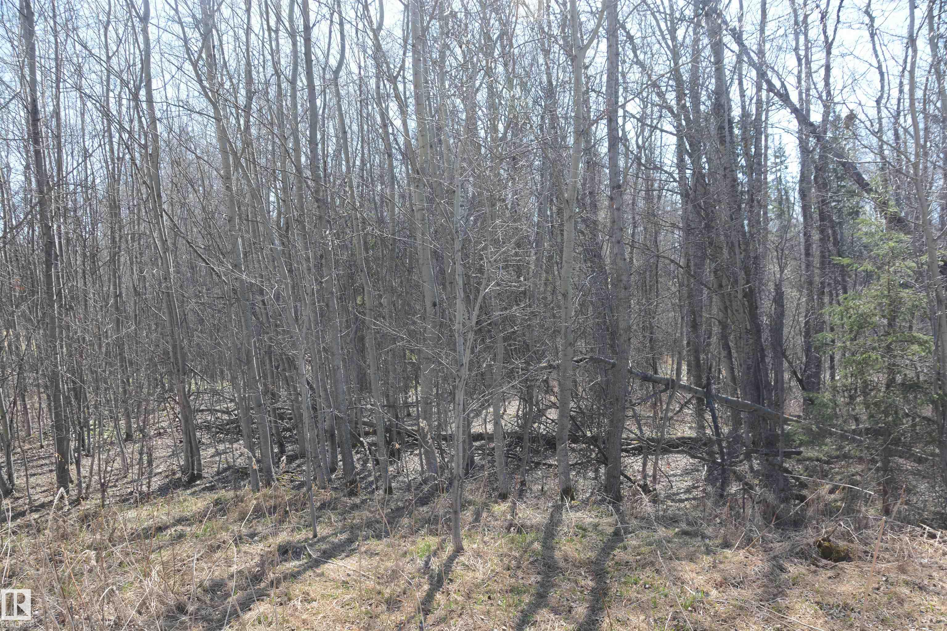 Photo 12 at 2306 Twp Road 540, Heather Downs, Rural Lac Ste. Anne County