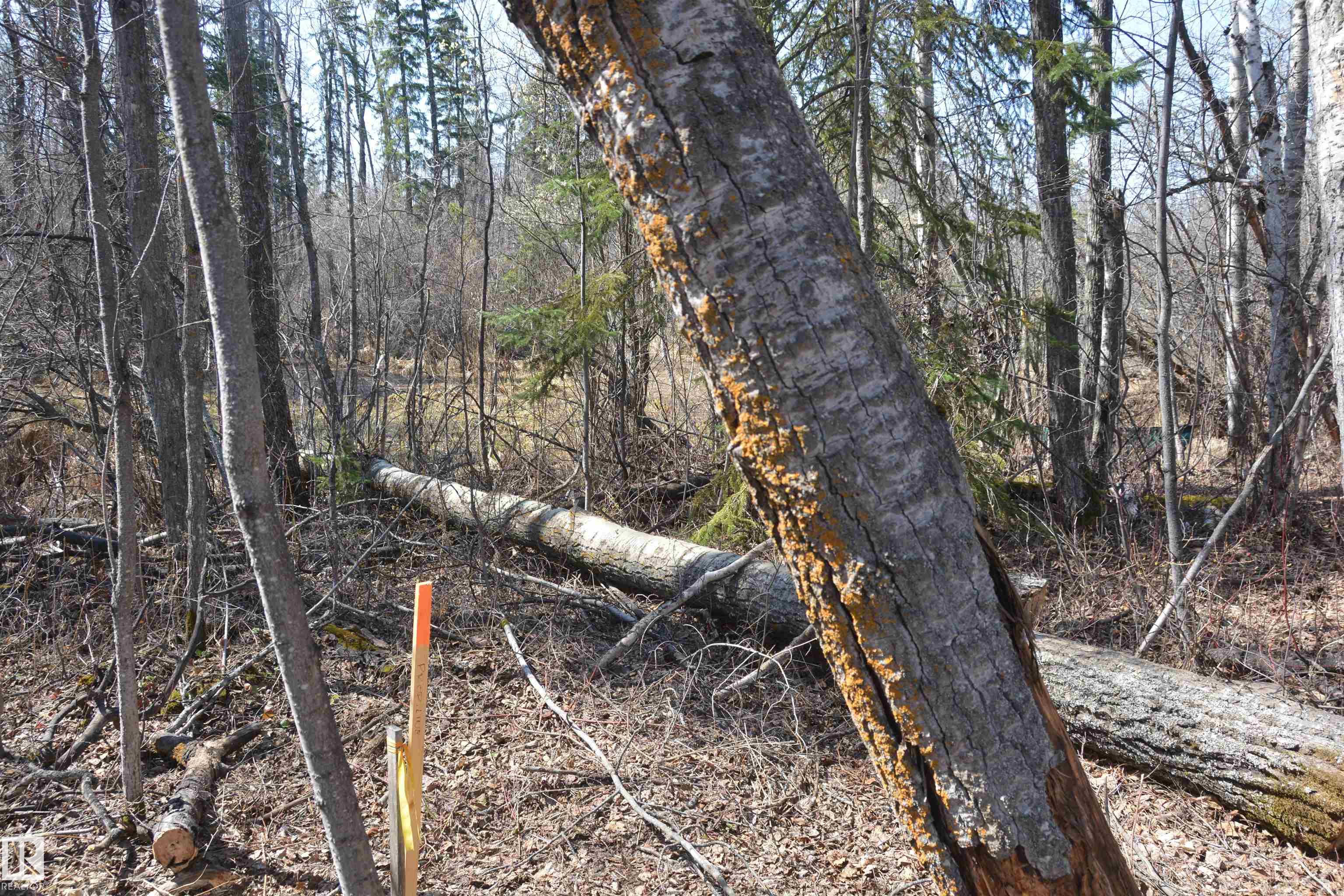 Photo 14 at 2306 Twp Road 540, Heather Downs, Rural Lac Ste. Anne County