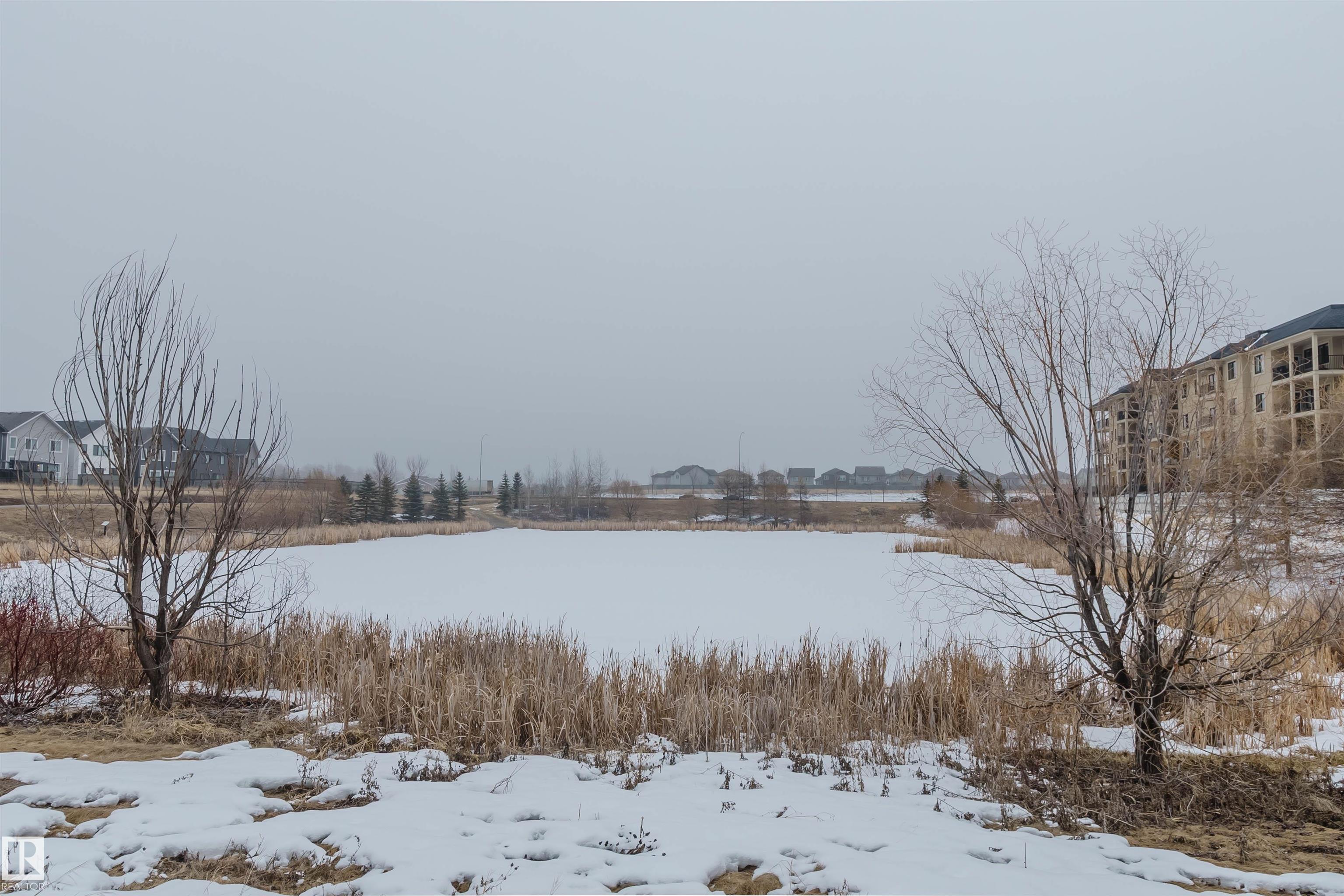 Photo 43 at 1007 173 Street SW, Windermere, Edmonton