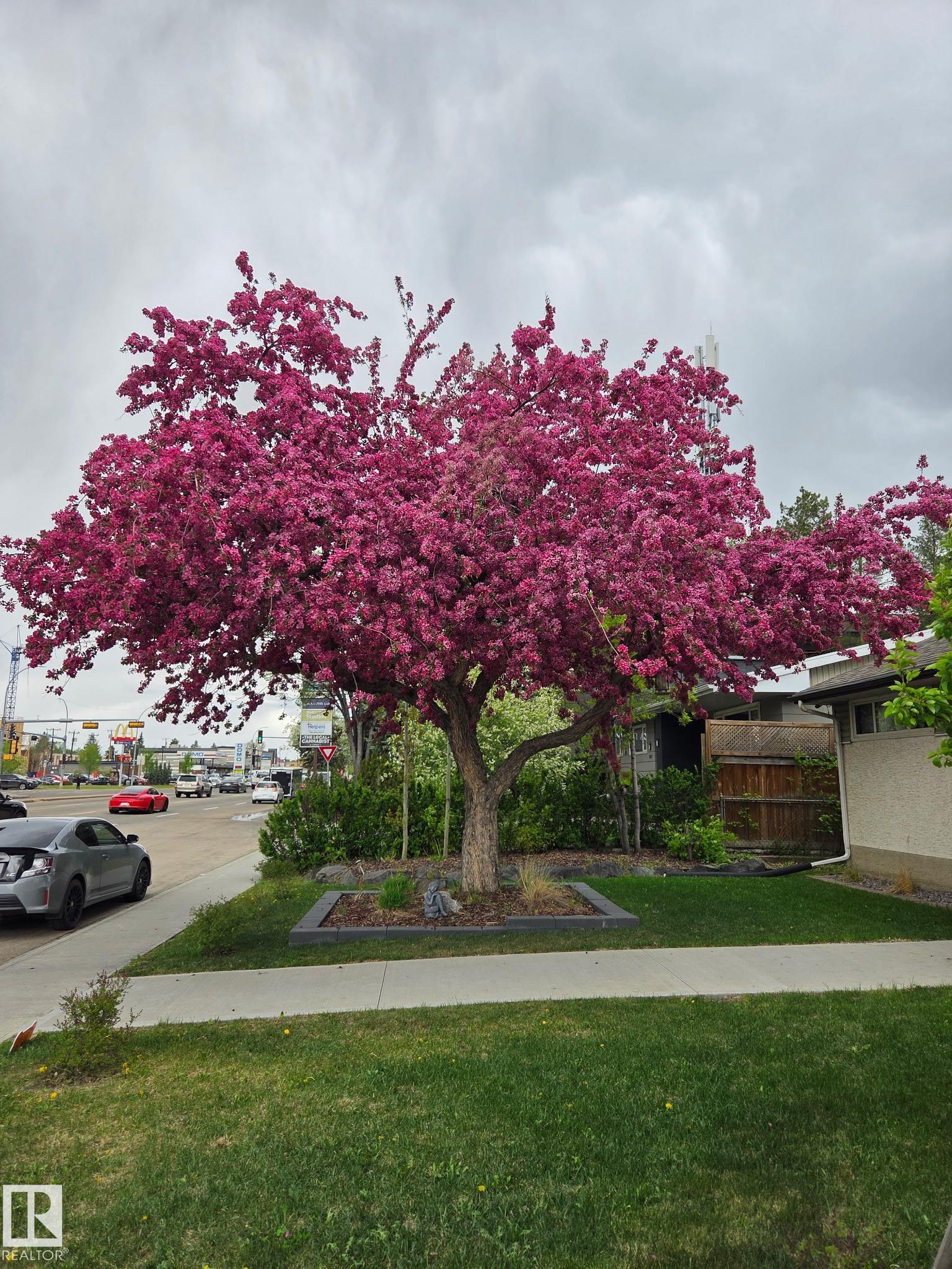 Photo 2 at 8603 149 Street NW, Laurier Heights, Edmonton