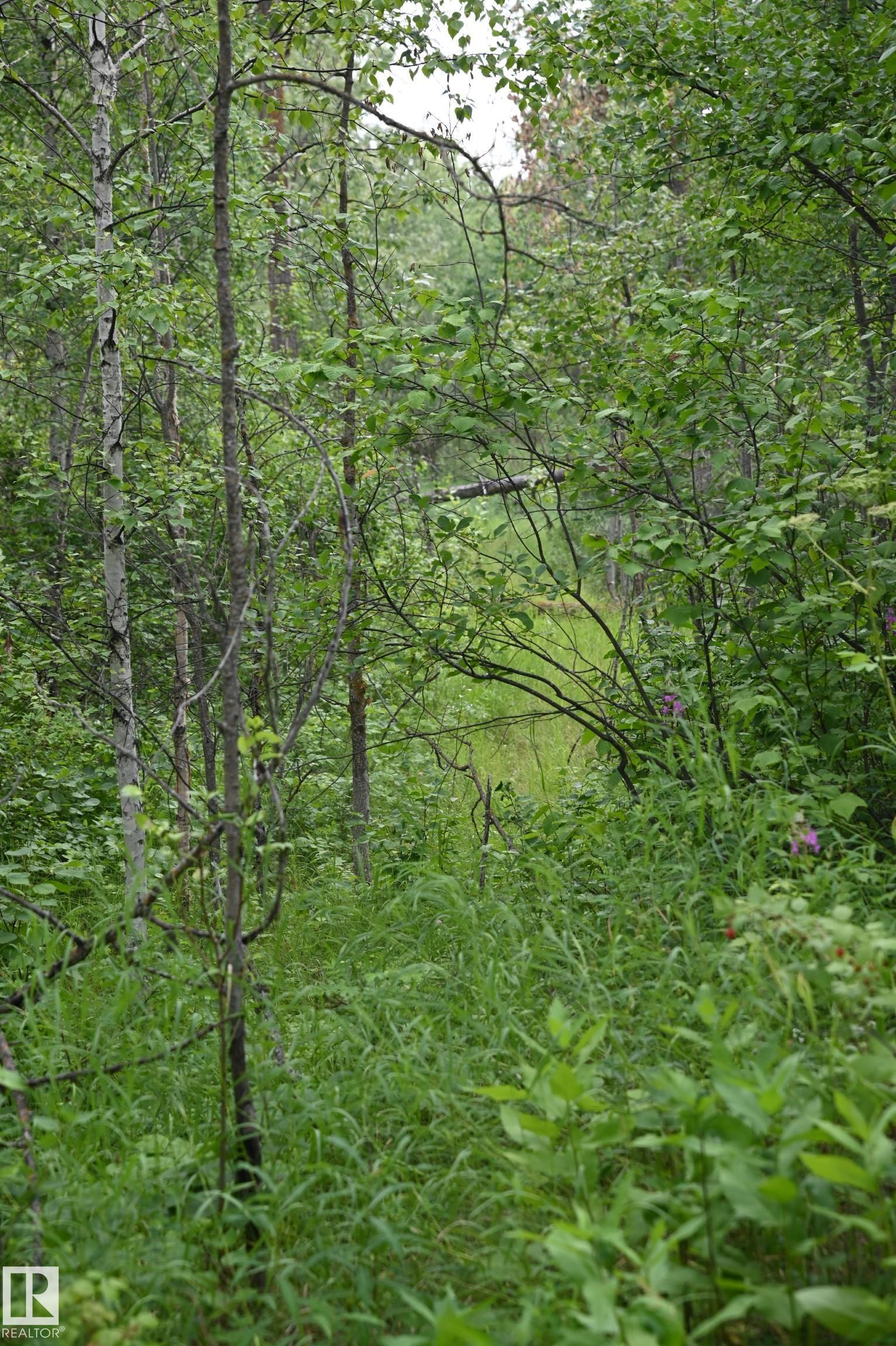 Photo 14 at 51123 Rge Road 222, None, Rural Strathcona County