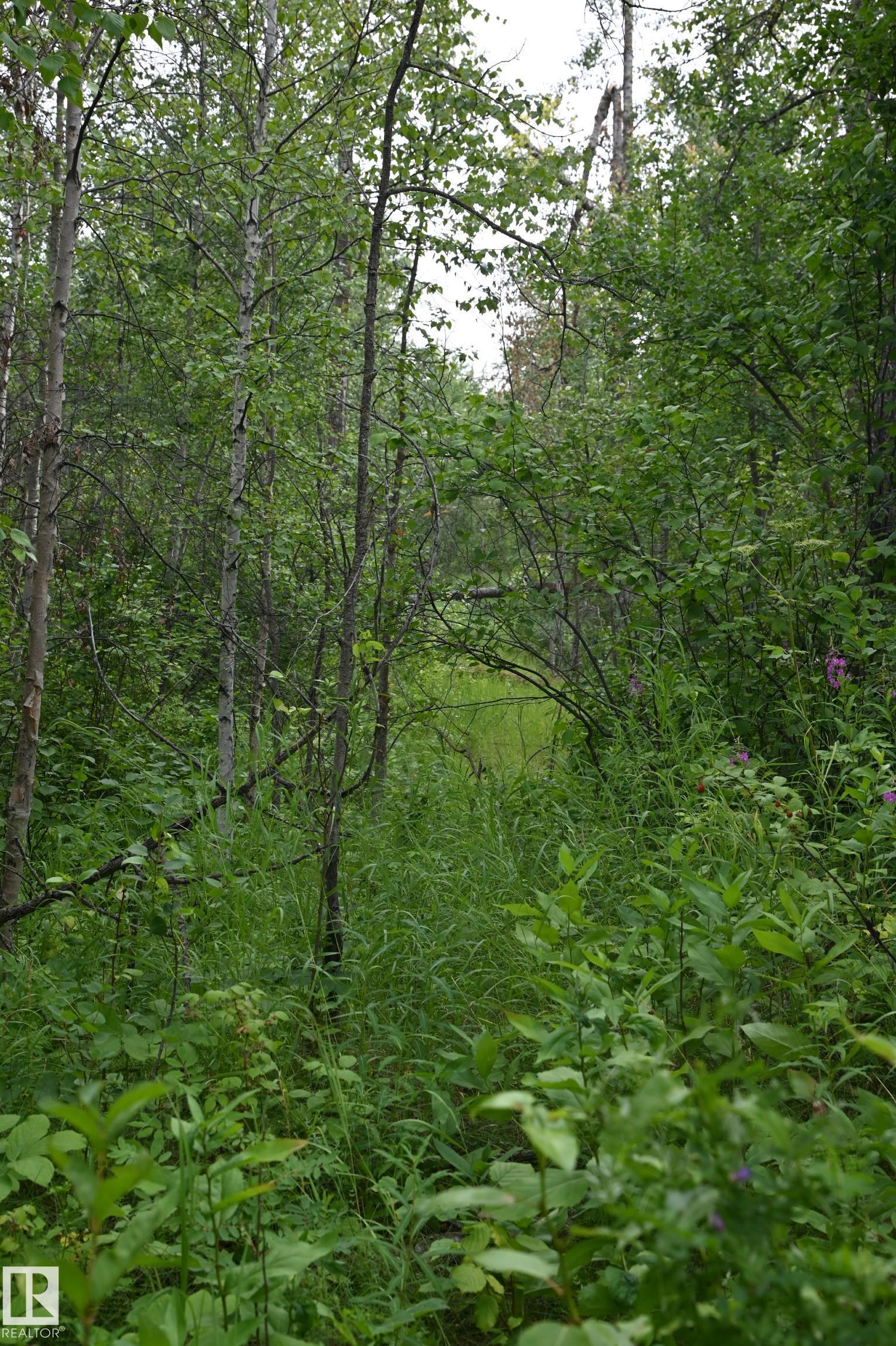 Photo 15 at 51123 Rge Road 222, None, Rural Strathcona County