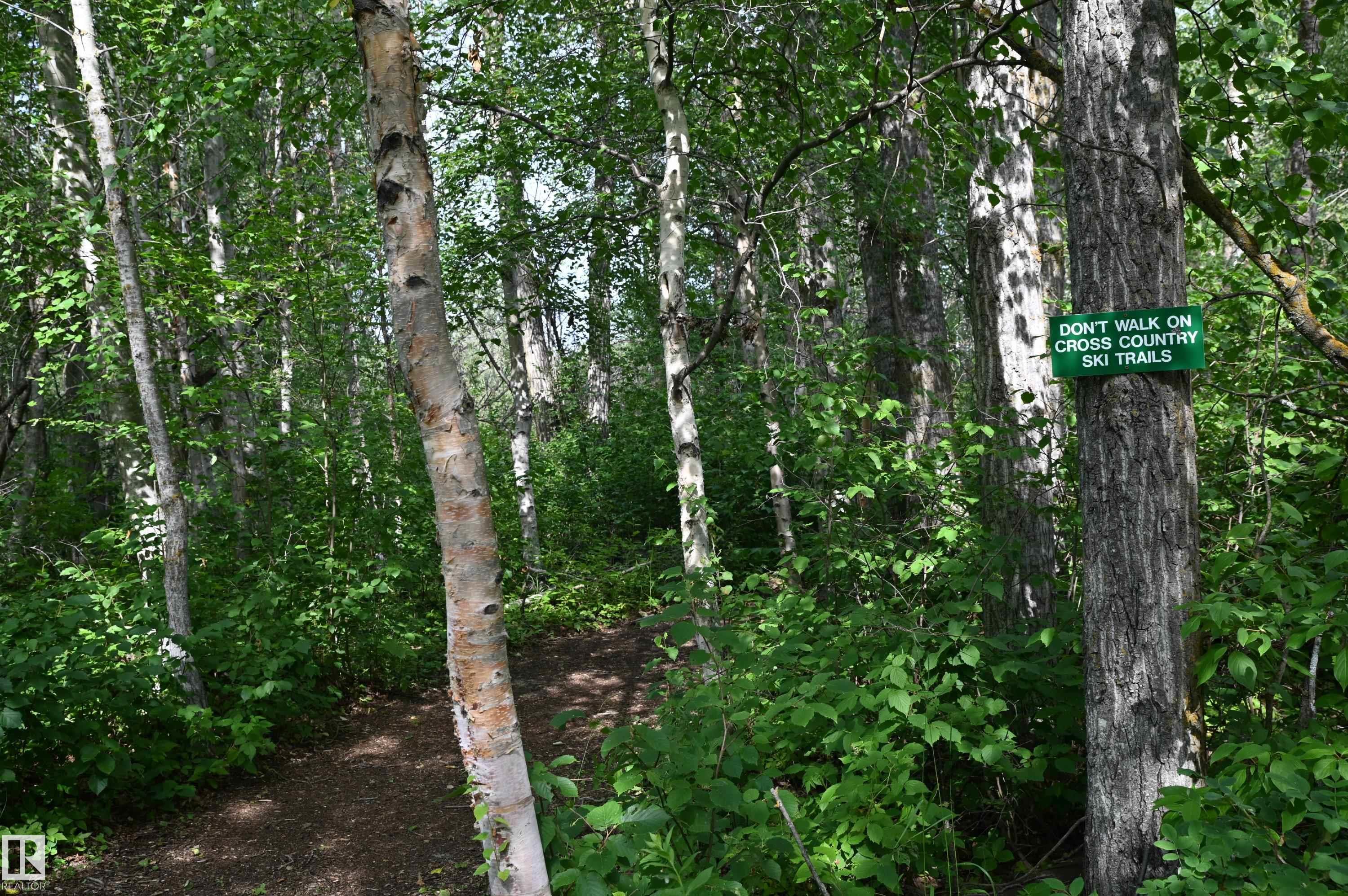 Photo 16 at 51123 Rge Road 222, None, Rural Strathcona County