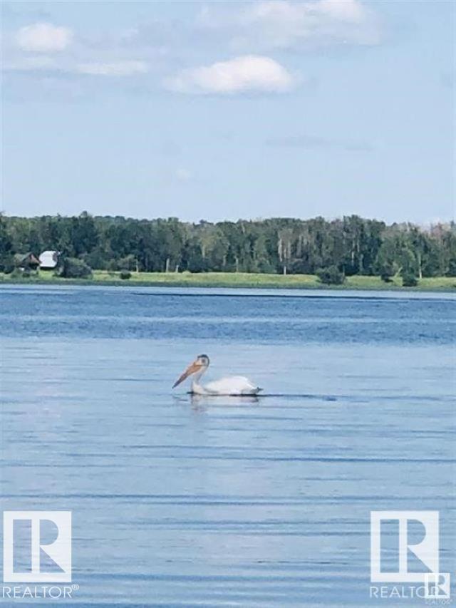 Photo 39 at 106 - 53509 Rge Road 60, Sunset Shores, Rural Parkland County