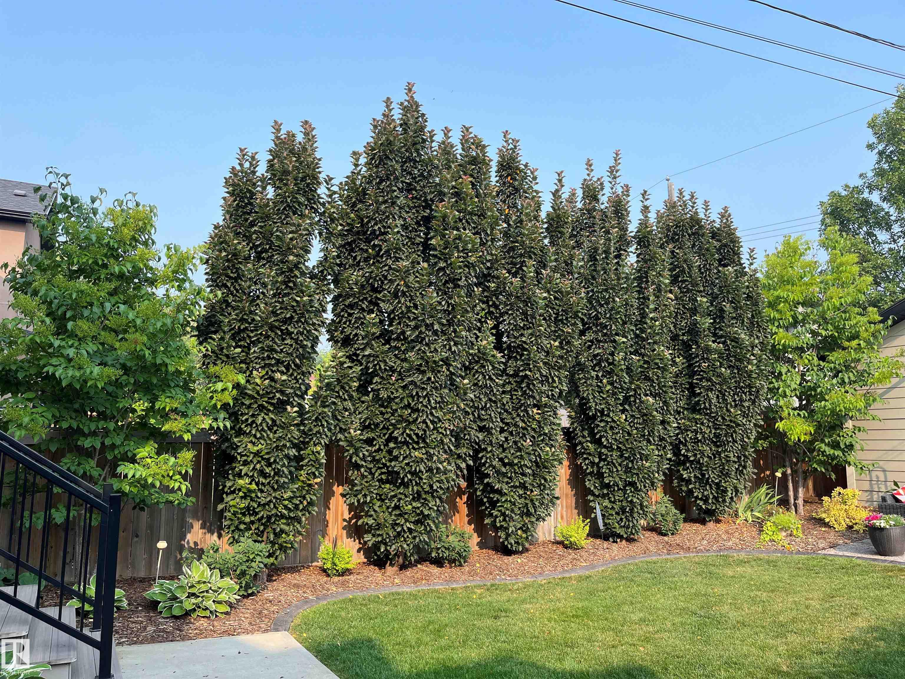 Photo 63 at 9648 83 Avenue NW, Strathcona, Edmonton