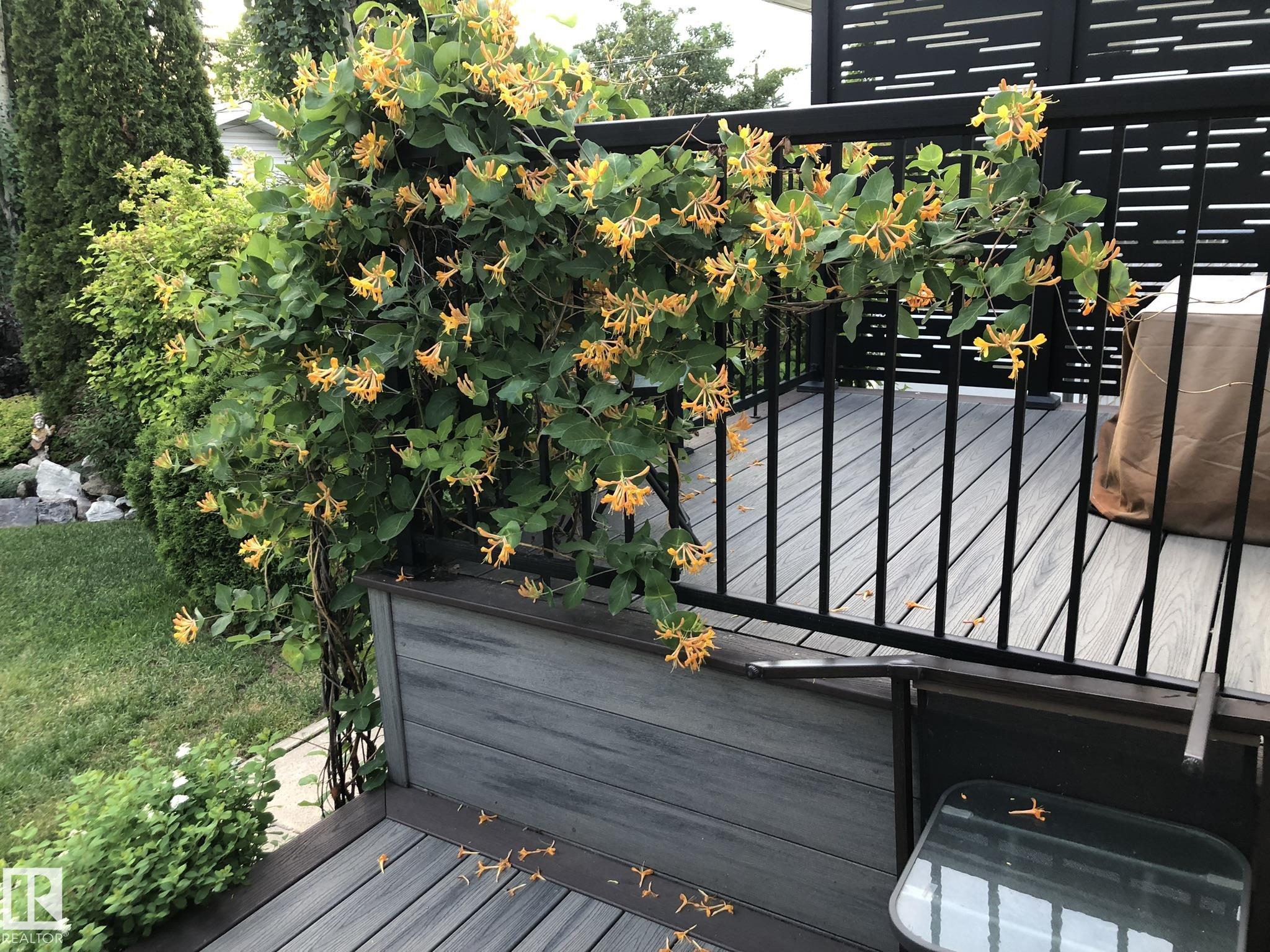 Photo 74 at 10962 118 Street NW, Queen Mary Park, Edmonton