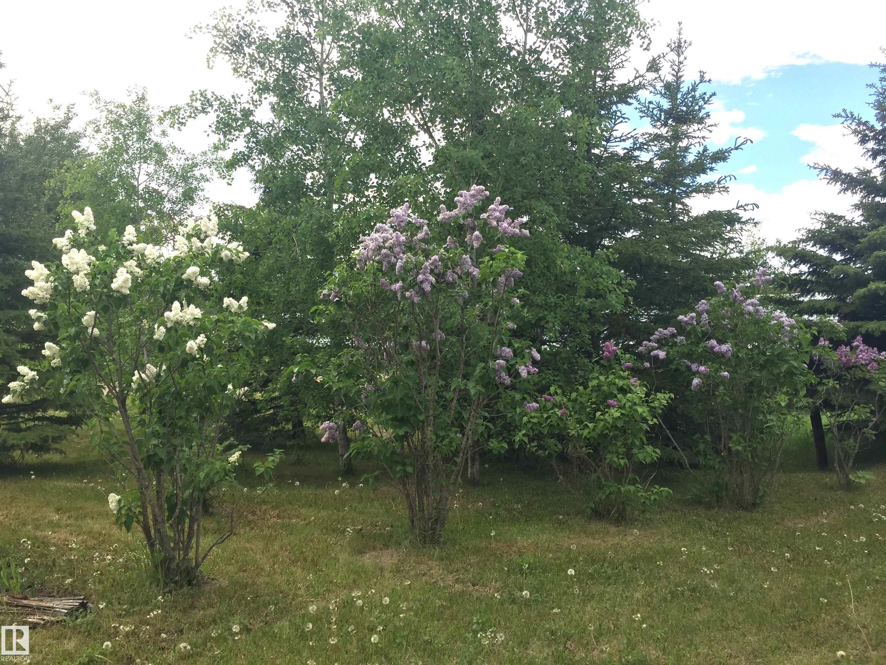 Photo 33 at Main Street First Avenue, None, Rural Parkland County