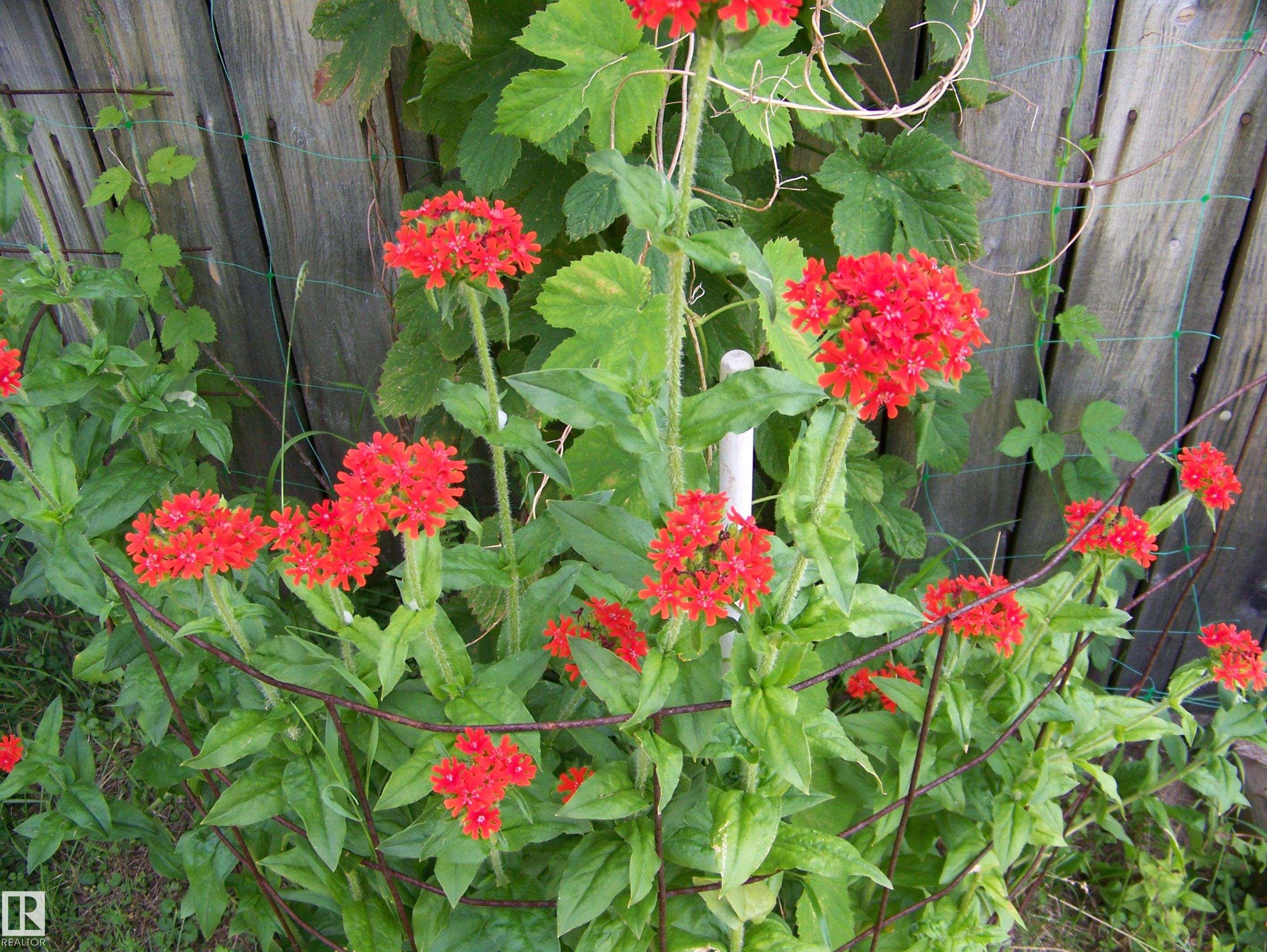 Photo 35 at Main Street First Avenue, None, Rural Parkland County