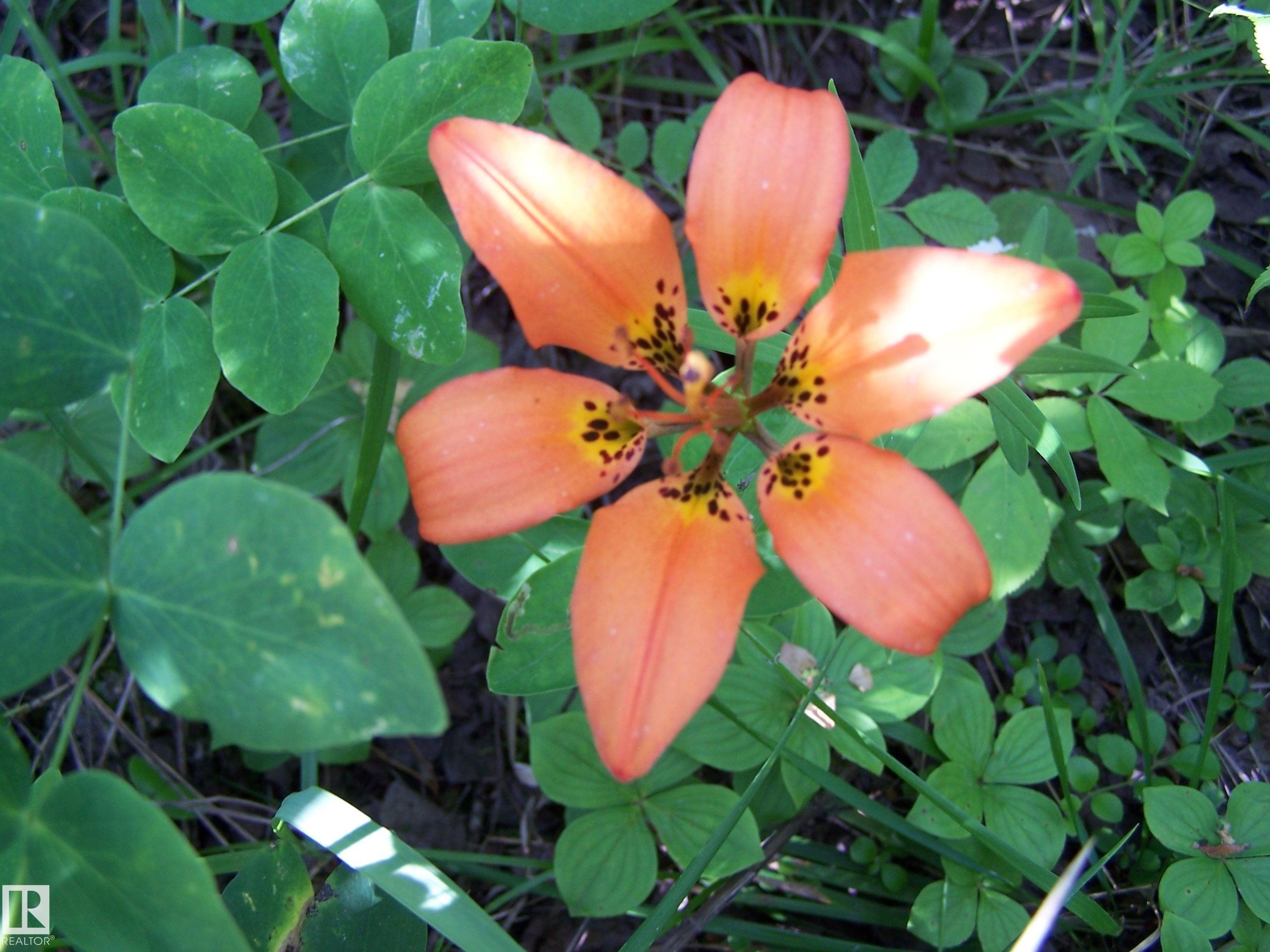 Photo 37 at Main Street First Avenue, None, Rural Parkland County