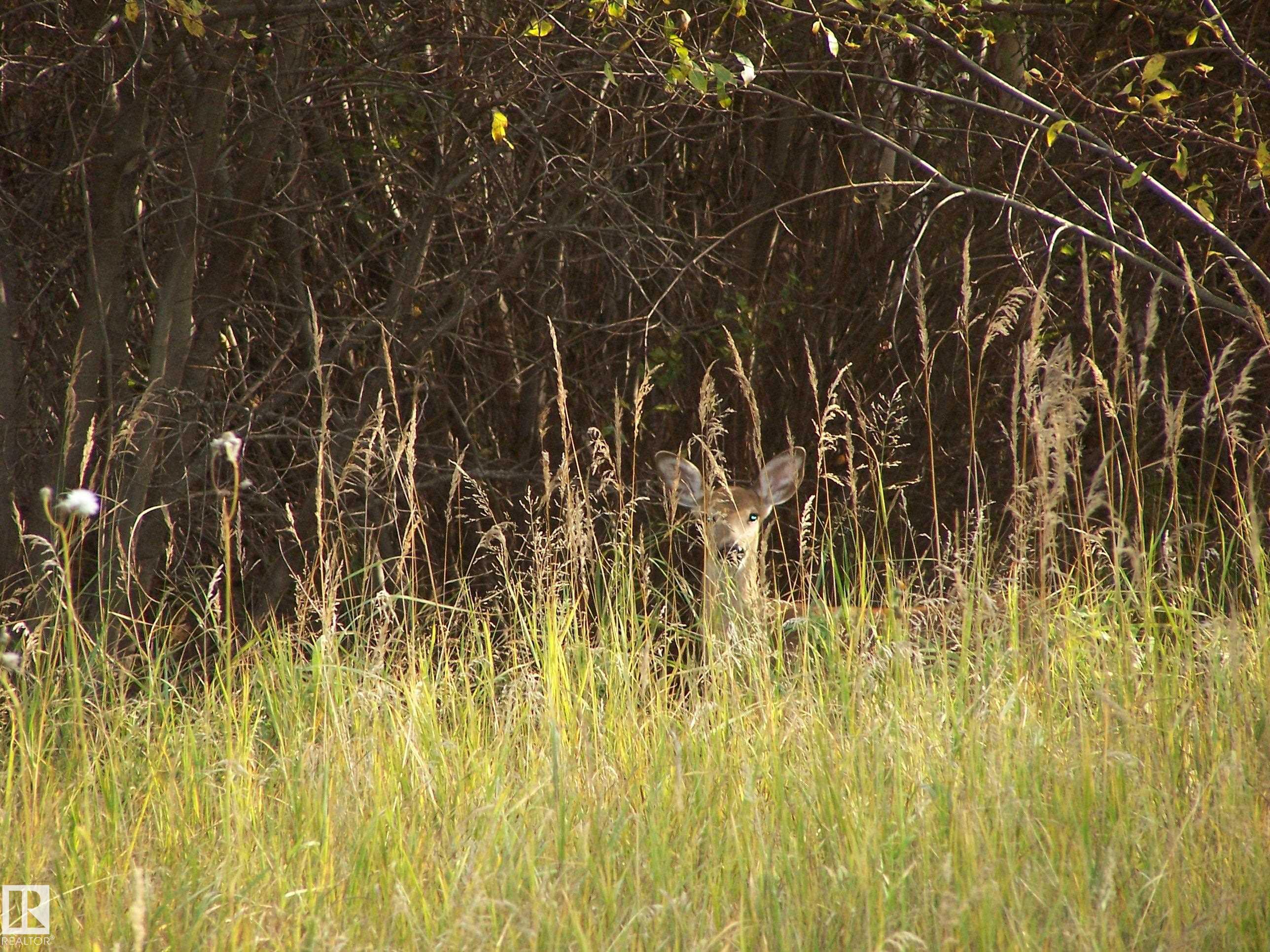 Photo 39 at Main Street First Avenue, None, Rural Parkland County