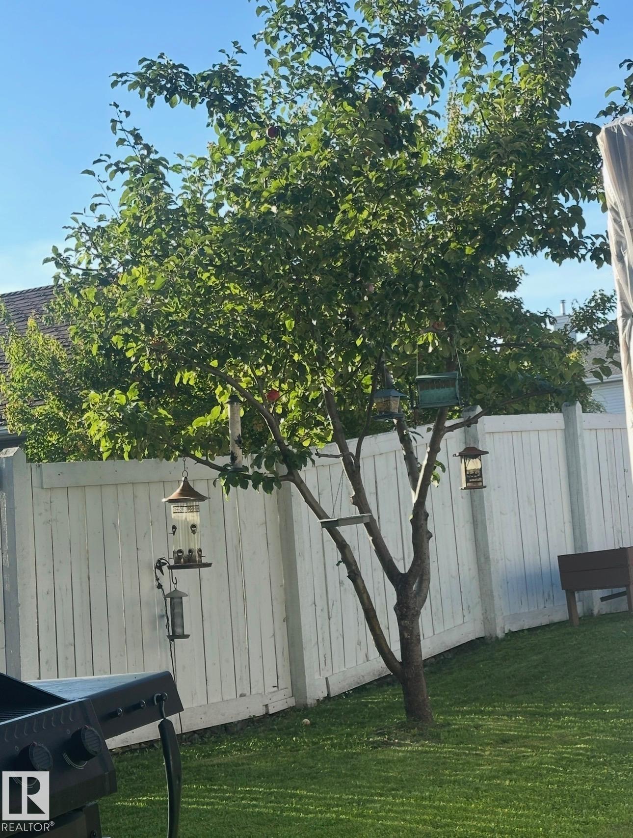 Photo 21 at 1750 Tomlinson Common NW, Terwillegar Towne, Edmonton