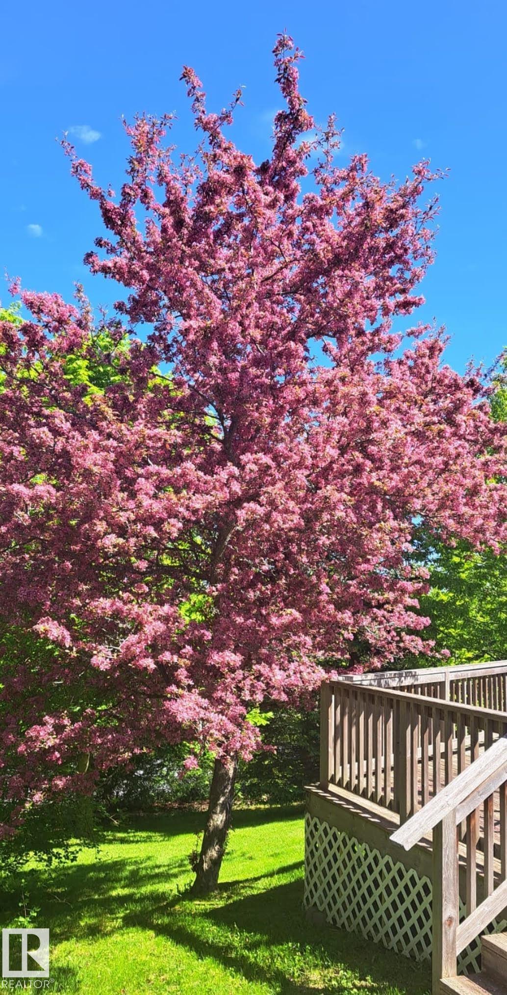 Photo 49 at 4 Placer Close, Pineview, St. Albert