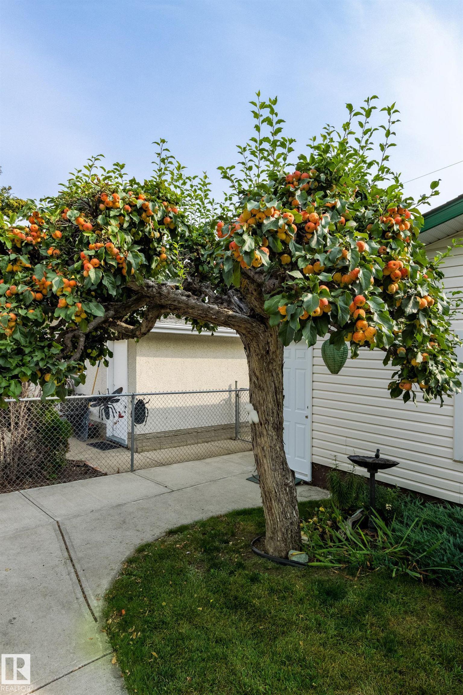 Photo 56 at 10629 79 Street NW, Forest Heights, Edmonton