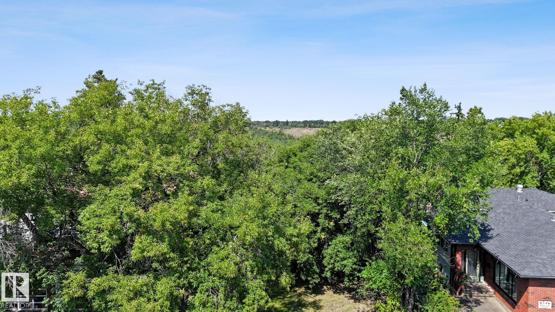 Photo 6 at 8028 Rowland Road NW, Forest Heights, Edmonton