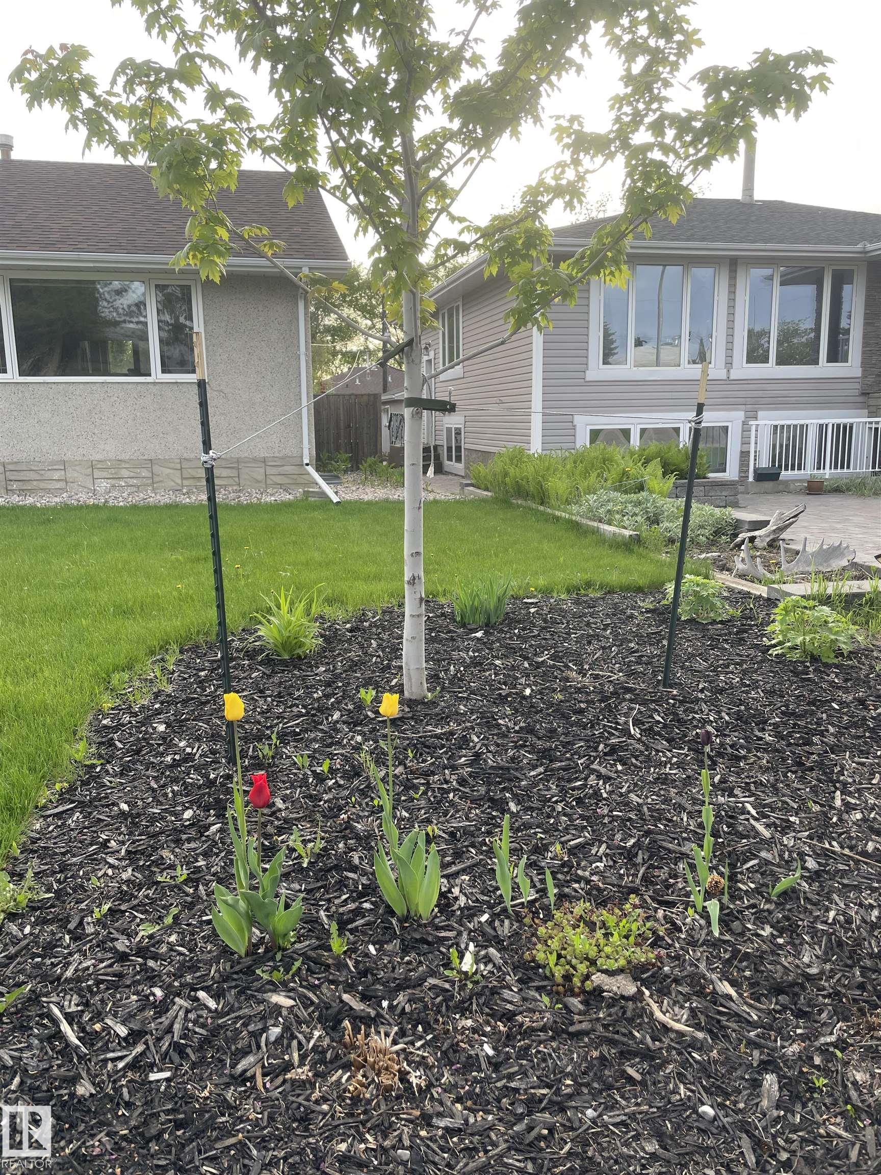 https://zimg.paragon.ice.com/ParagonImages/Property/PM/RAE/225395415/40/0/0/12fa21bb1ac33c2945786faaa4b6c185/1/e82ed6b38fe6a520402f8e38e0066cd8/225395415-1d4975a5-5974-4430-a4c4-c0fdf1d3d980.JPG