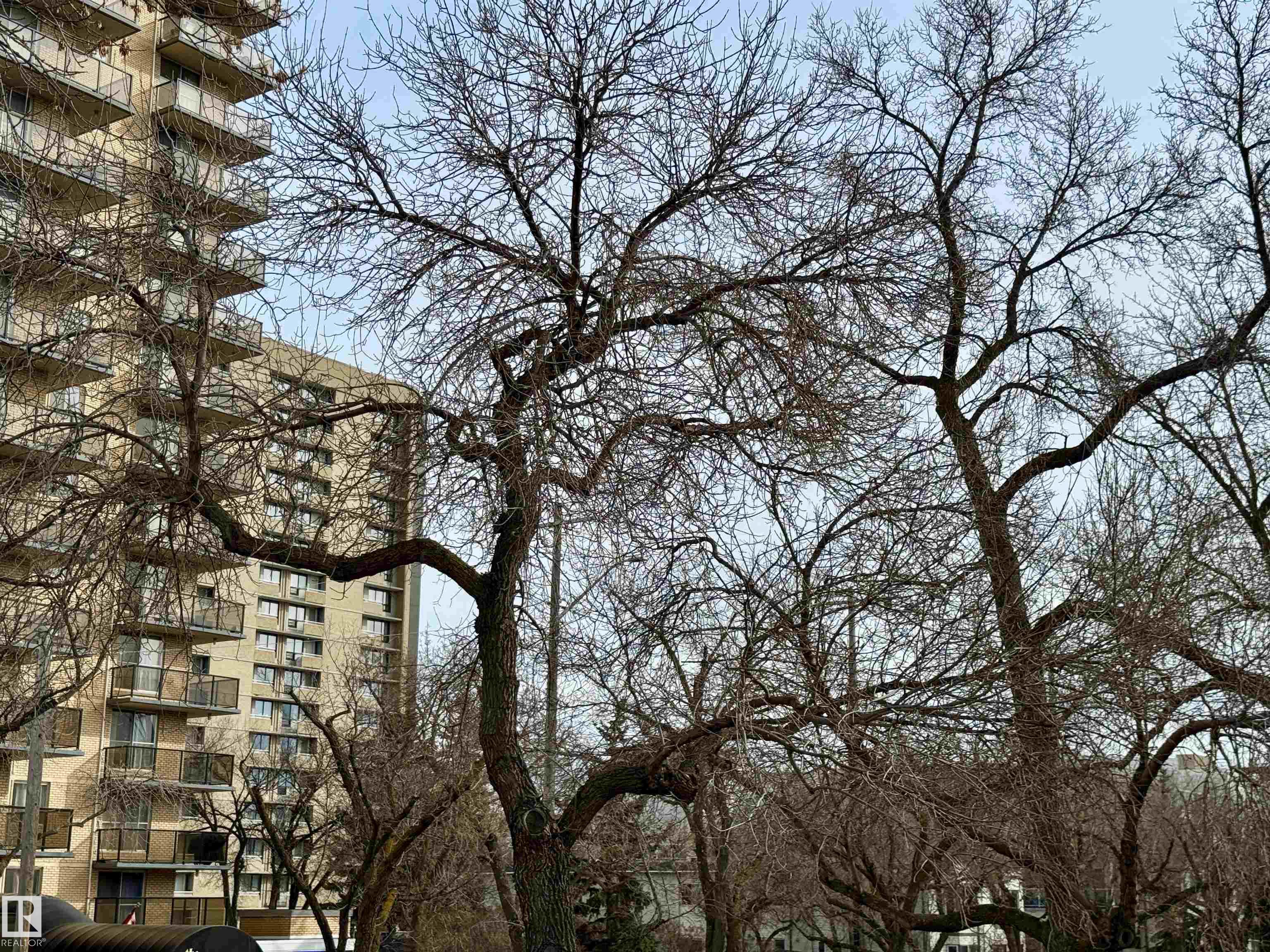 Photo 33 at 10346A 121 Street NW, Wîhkwêntôwin, Edmonton