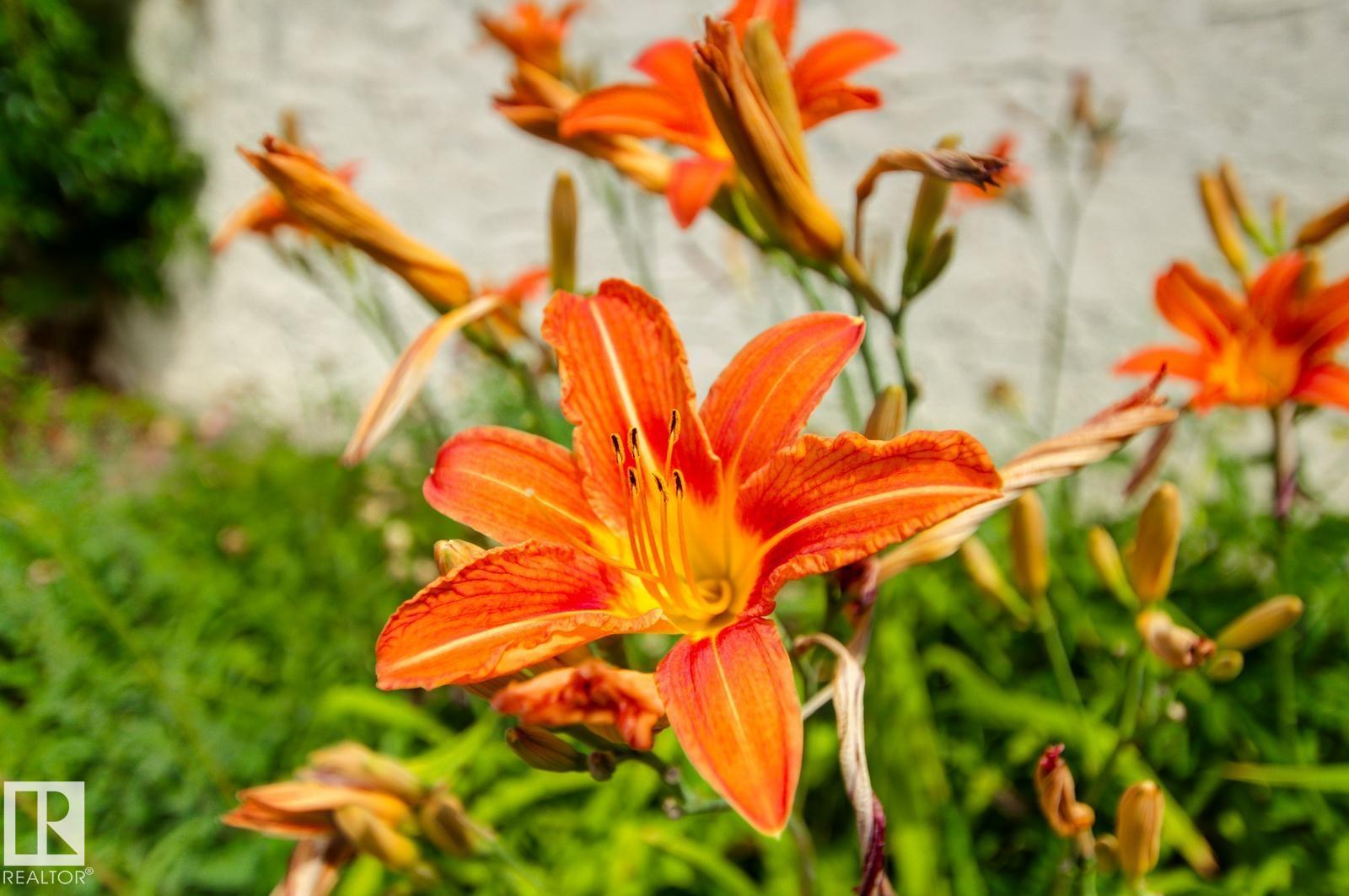 Photo 58 at 11707 29 Avenue NW, Blue Quill, Edmonton