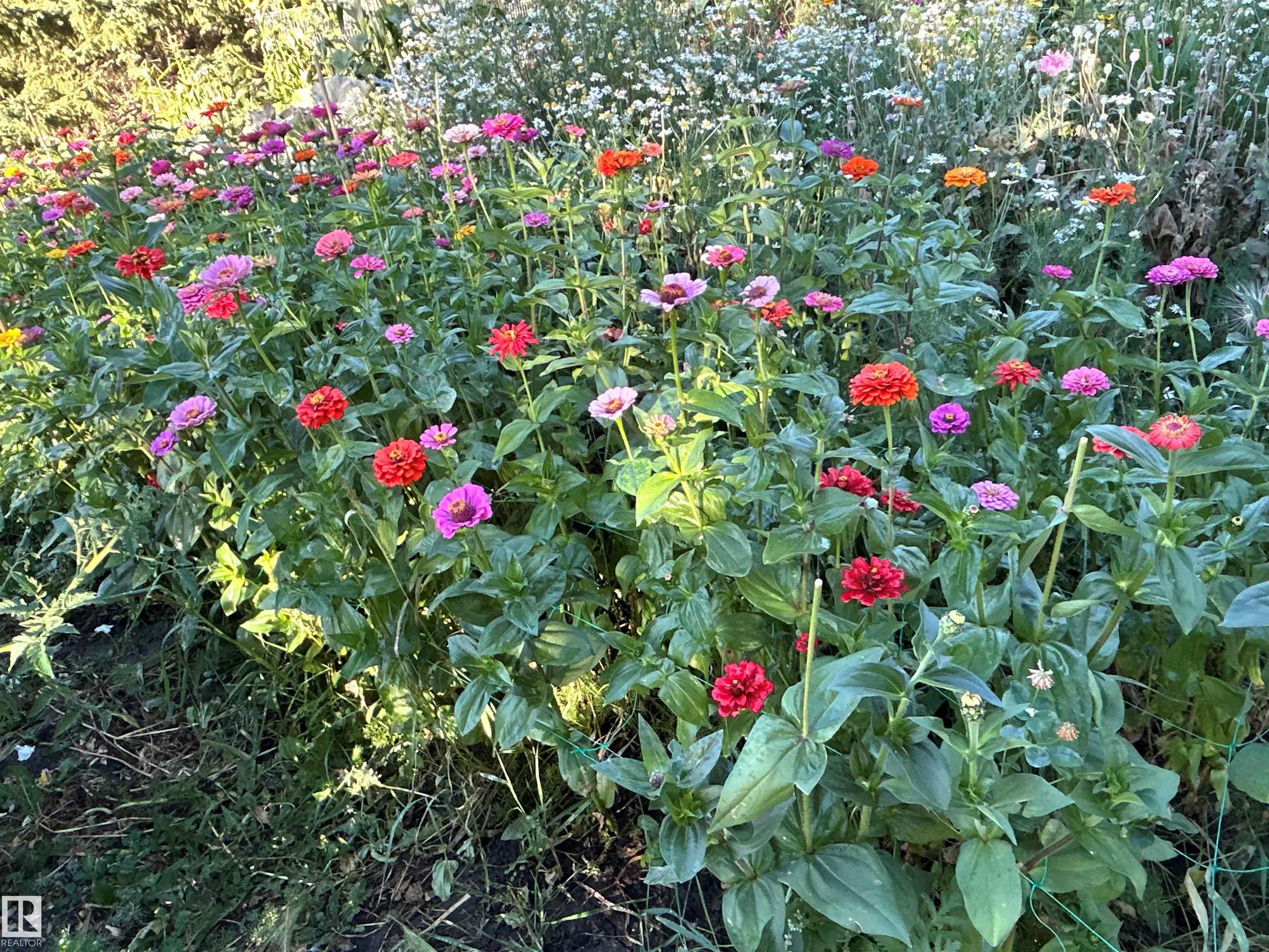 Photo 55 at 98 - 52552 Rge Road 224, Sun Hill Estates, Rural Strathcona County