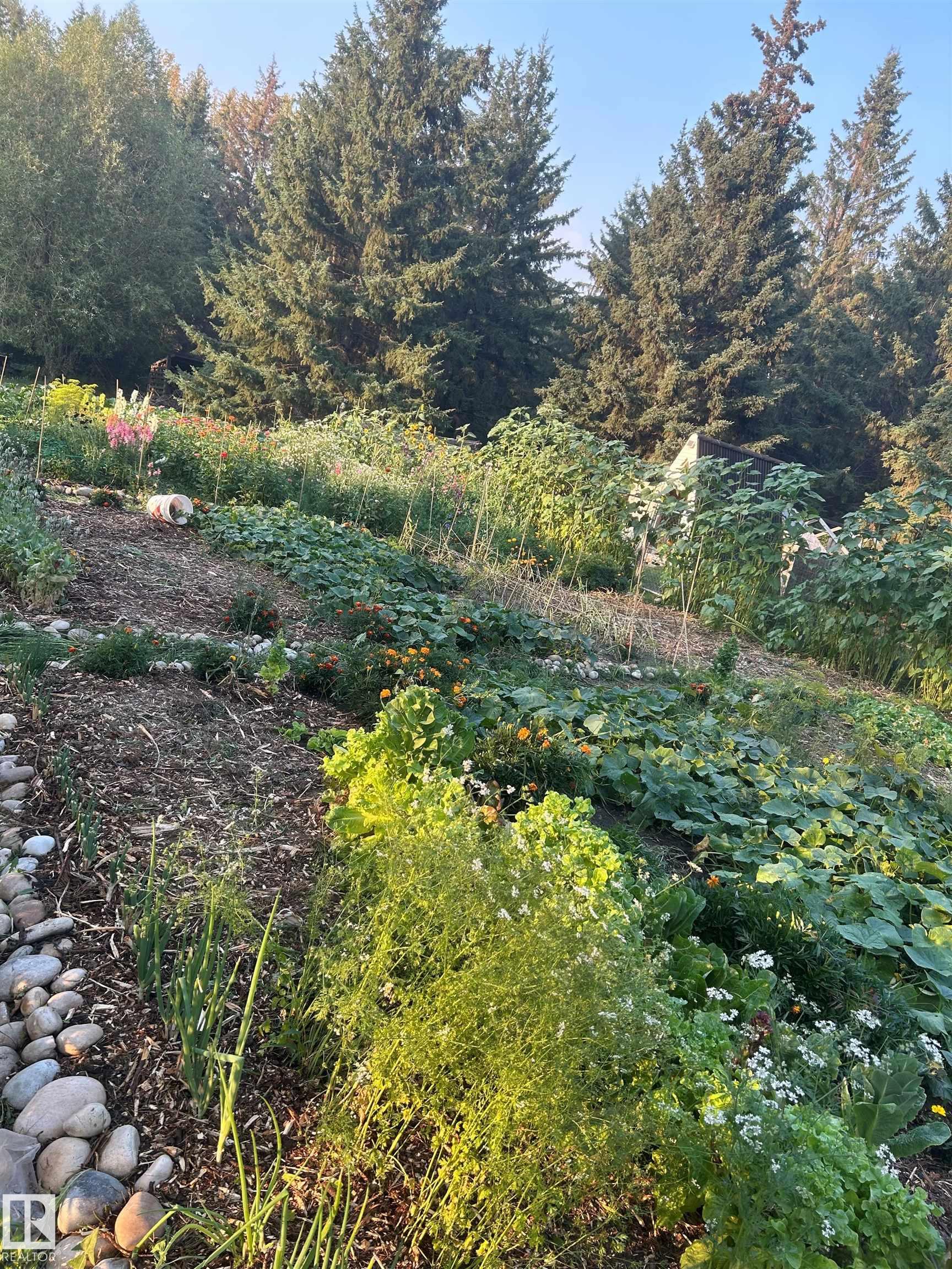 Photo 56 at 98 - 52552 Rge Road 224, Sun Hill Estates, Rural Strathcona County