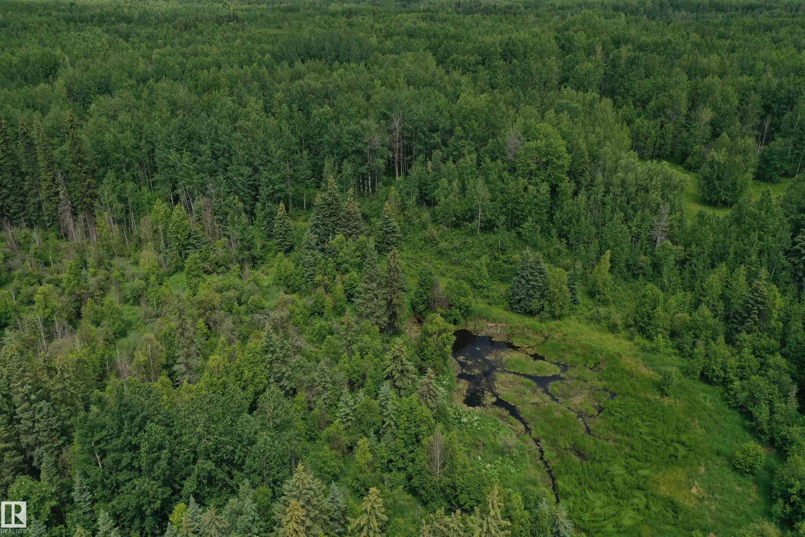 Photo 10 at On Township Road 522, None, Rural Parkland County