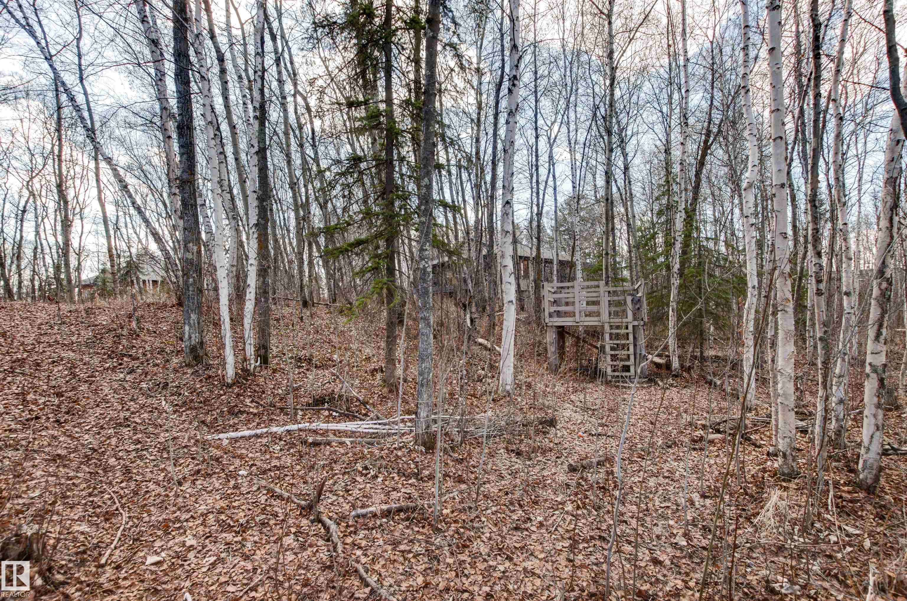 Photo 62 at 9 - 26516 Twp Road 514, Sandhills Estates, Rural Parkland County