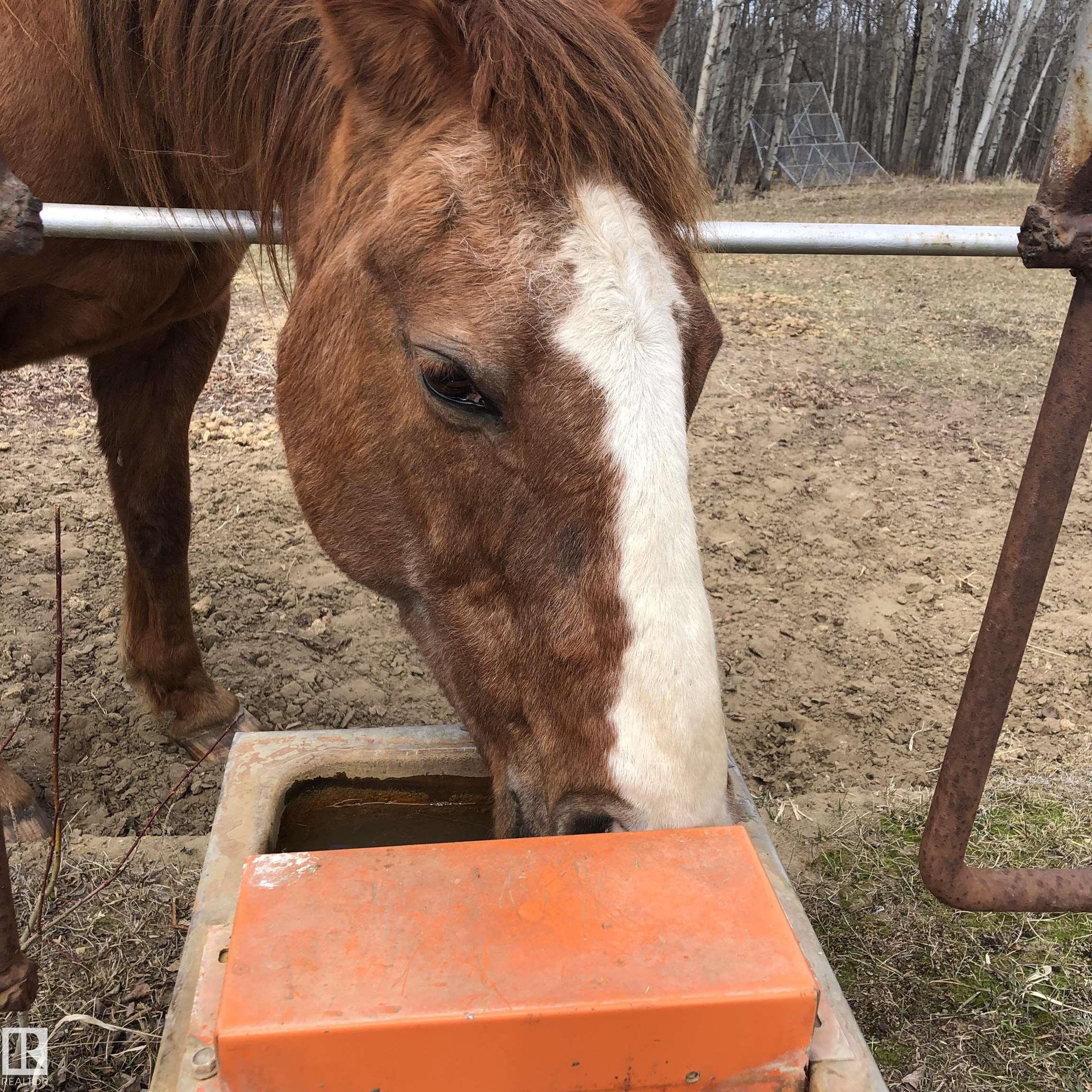 Photo 57 at 51512 Range Road 265, None, Rural Parkland County