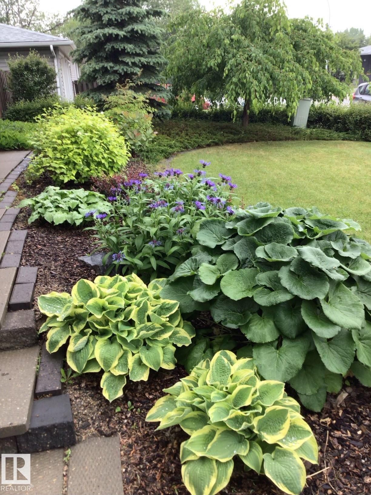 Photo 50 at 10811 43 Avenue NW, Rideau Park, Edmonton